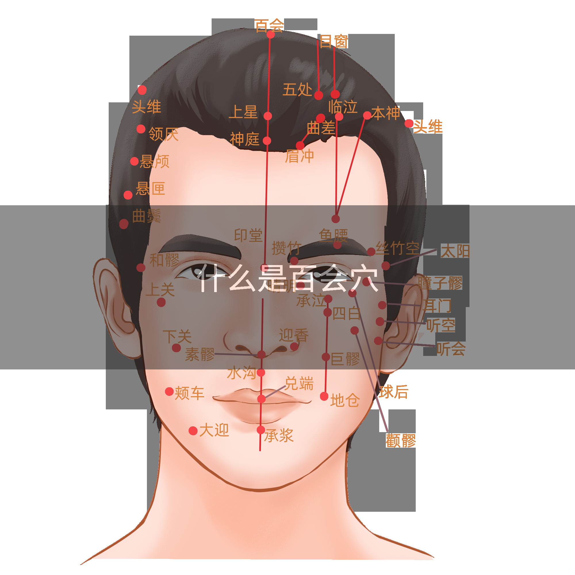 什么是百会穴