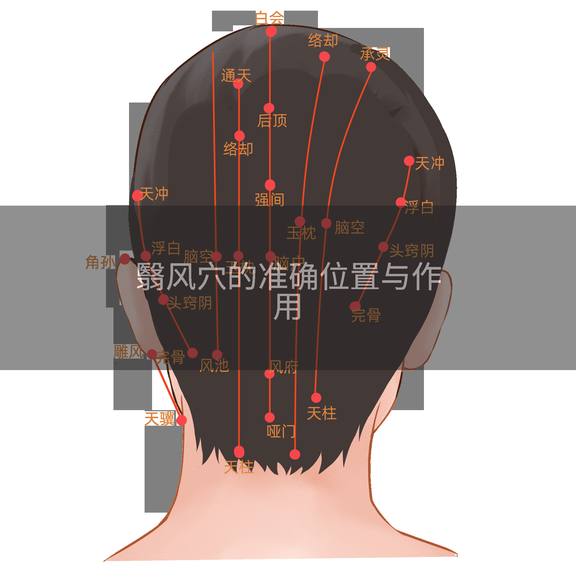 翳风穴的准确位置与作用