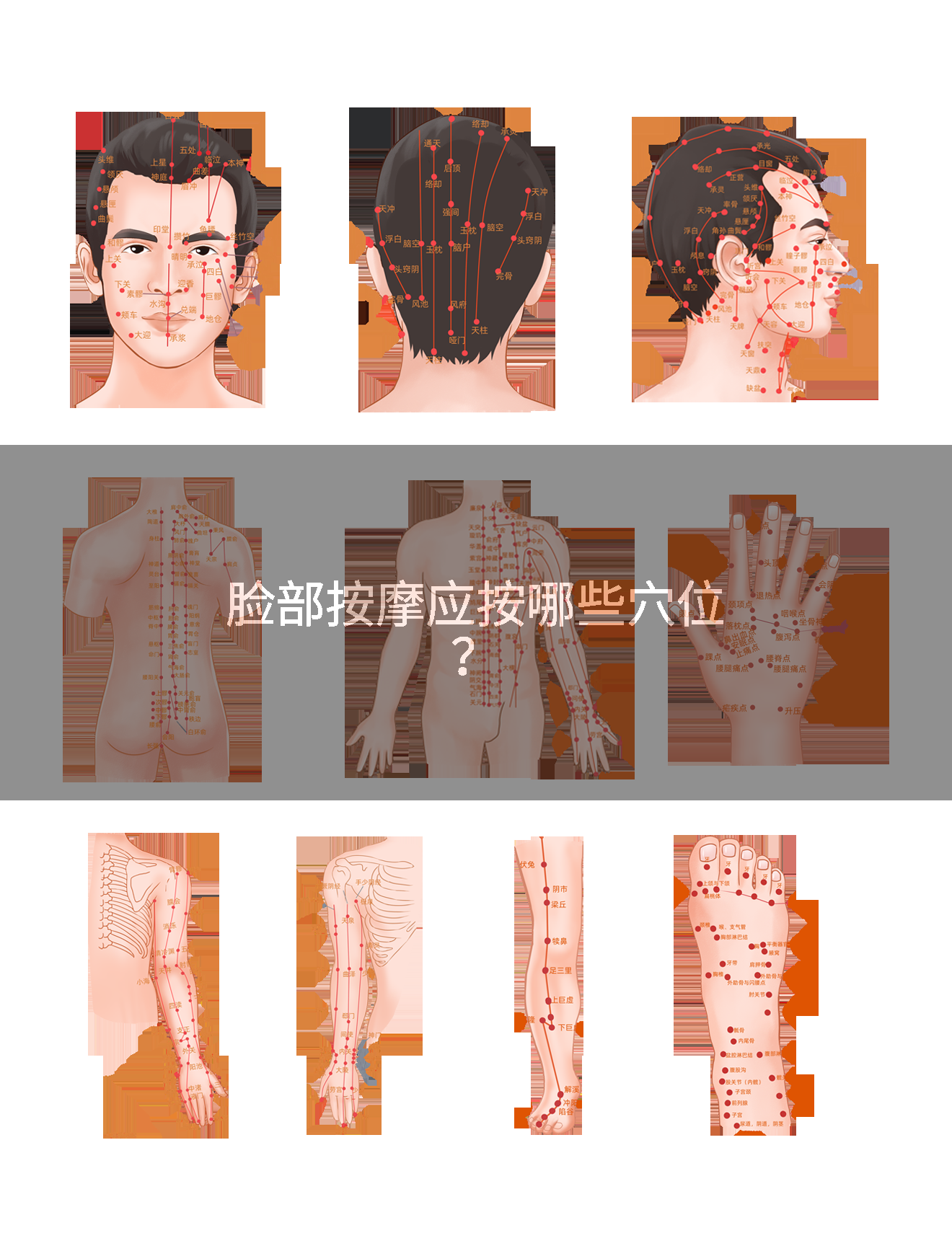 脸部按摩应按哪些穴位？