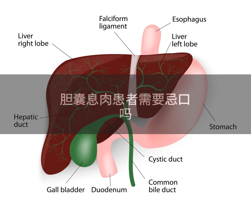 胆囊息肉患者需要忌口吗
