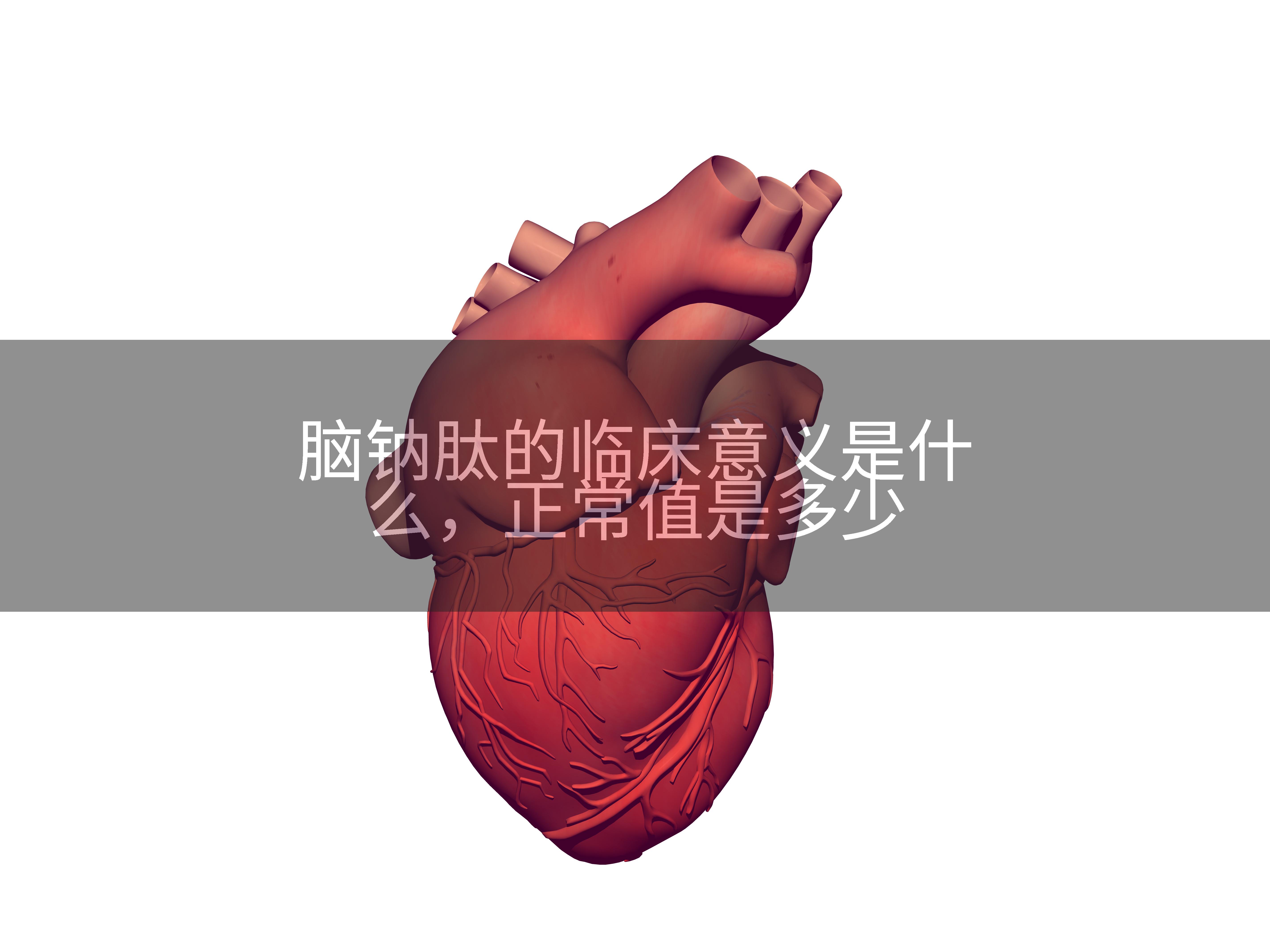脑钠肽的临床意义是什么，正常值是多少
