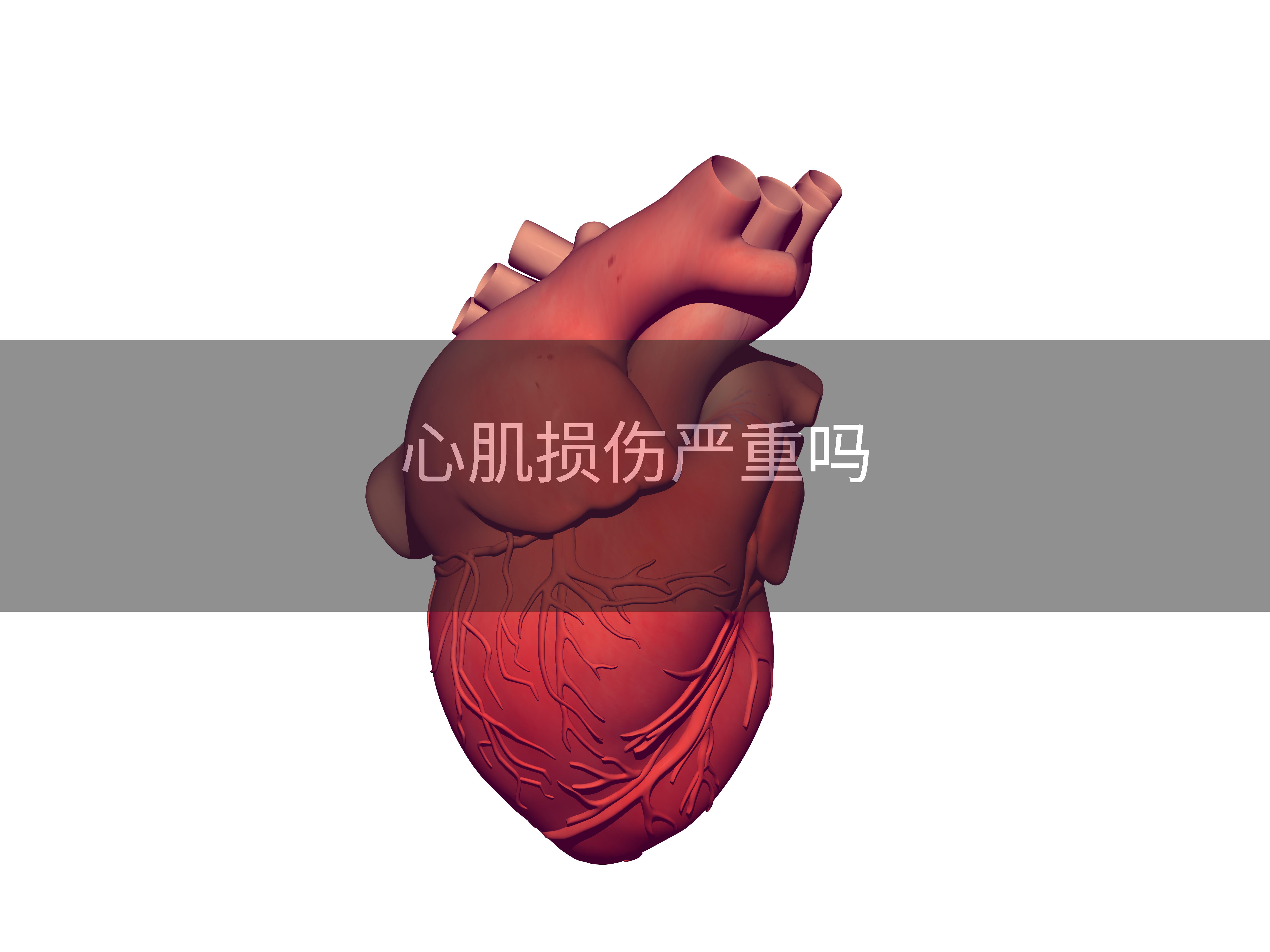 心肌损伤严重吗