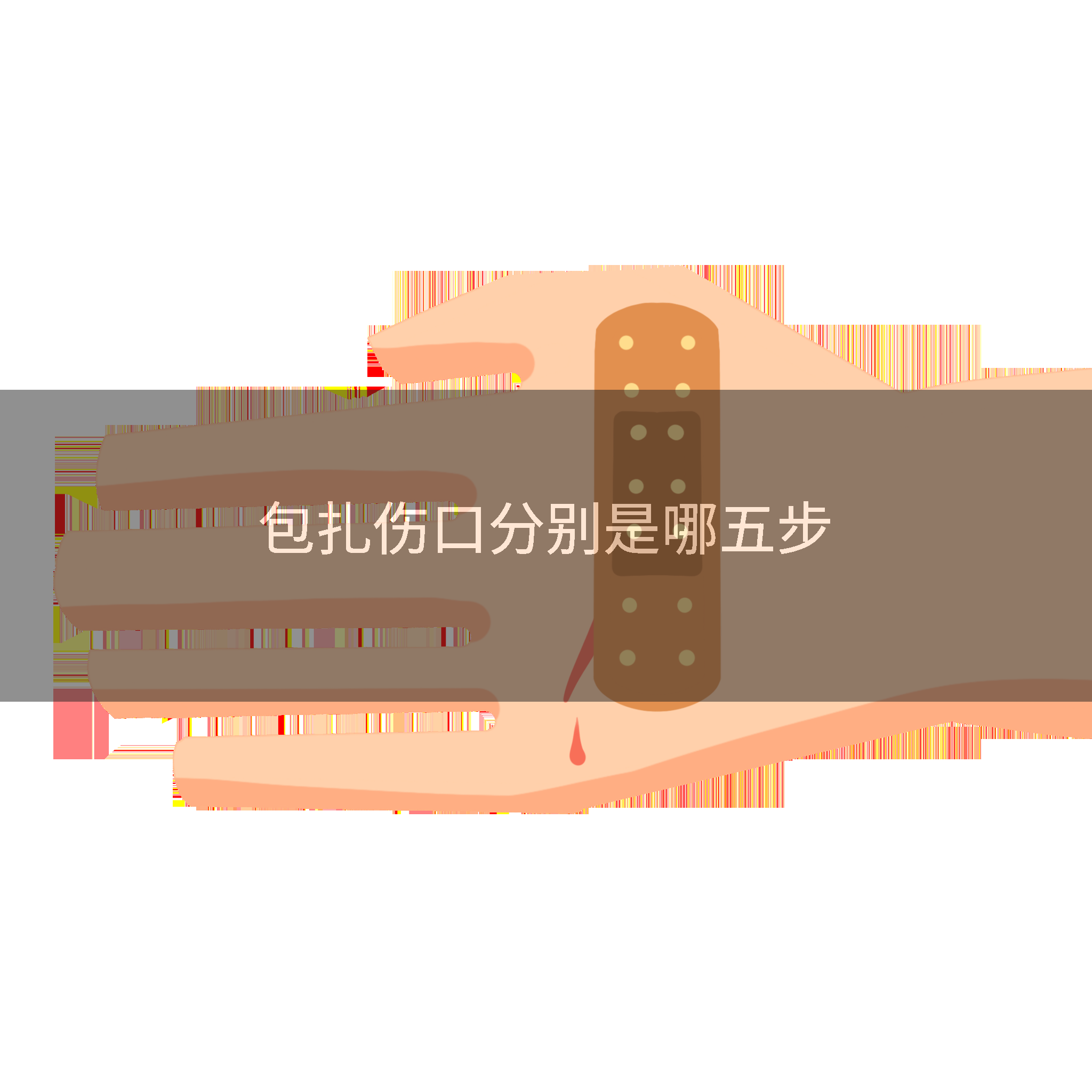 包扎伤口分别是哪五步