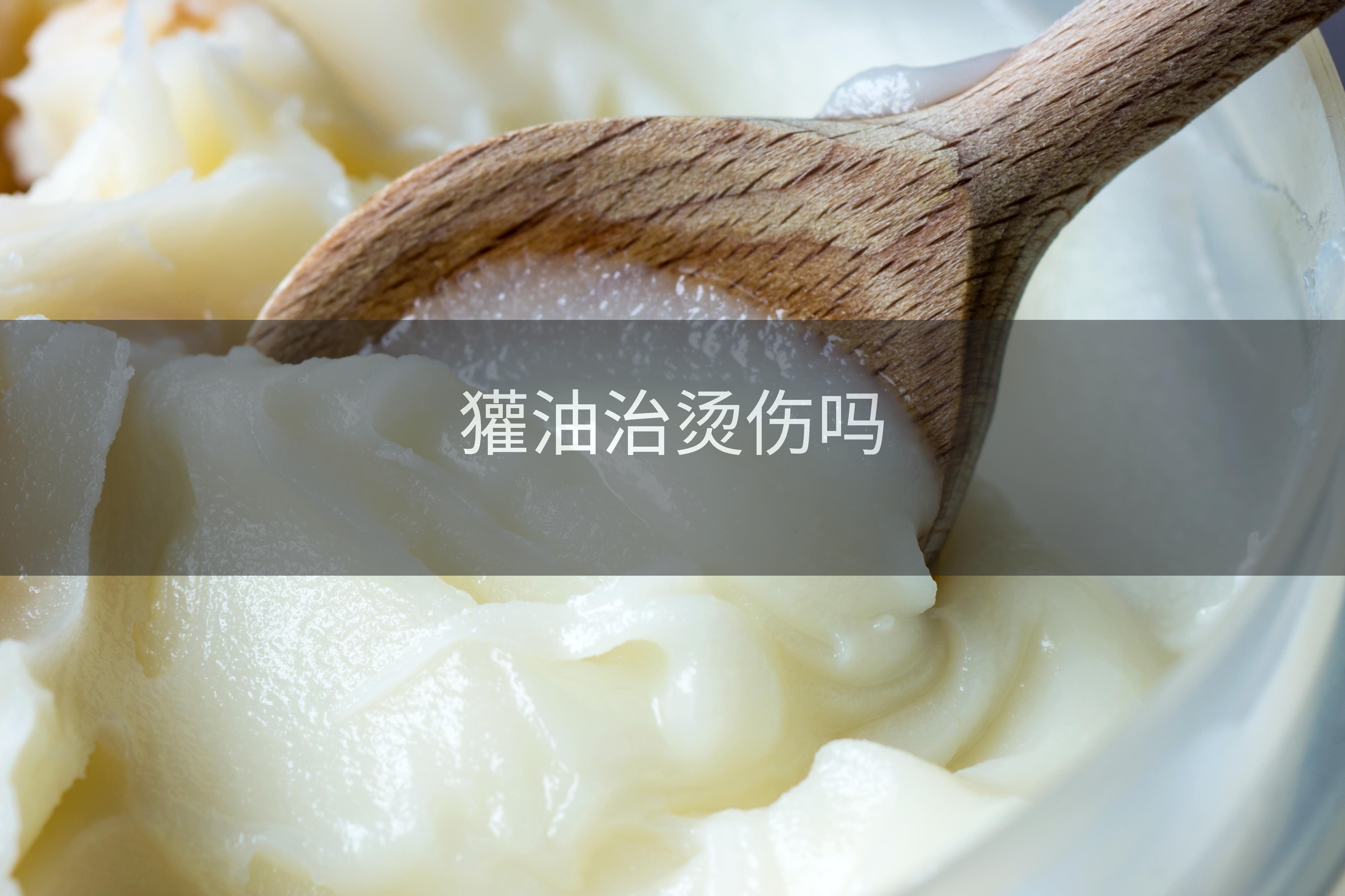 獾油治烫伤吗