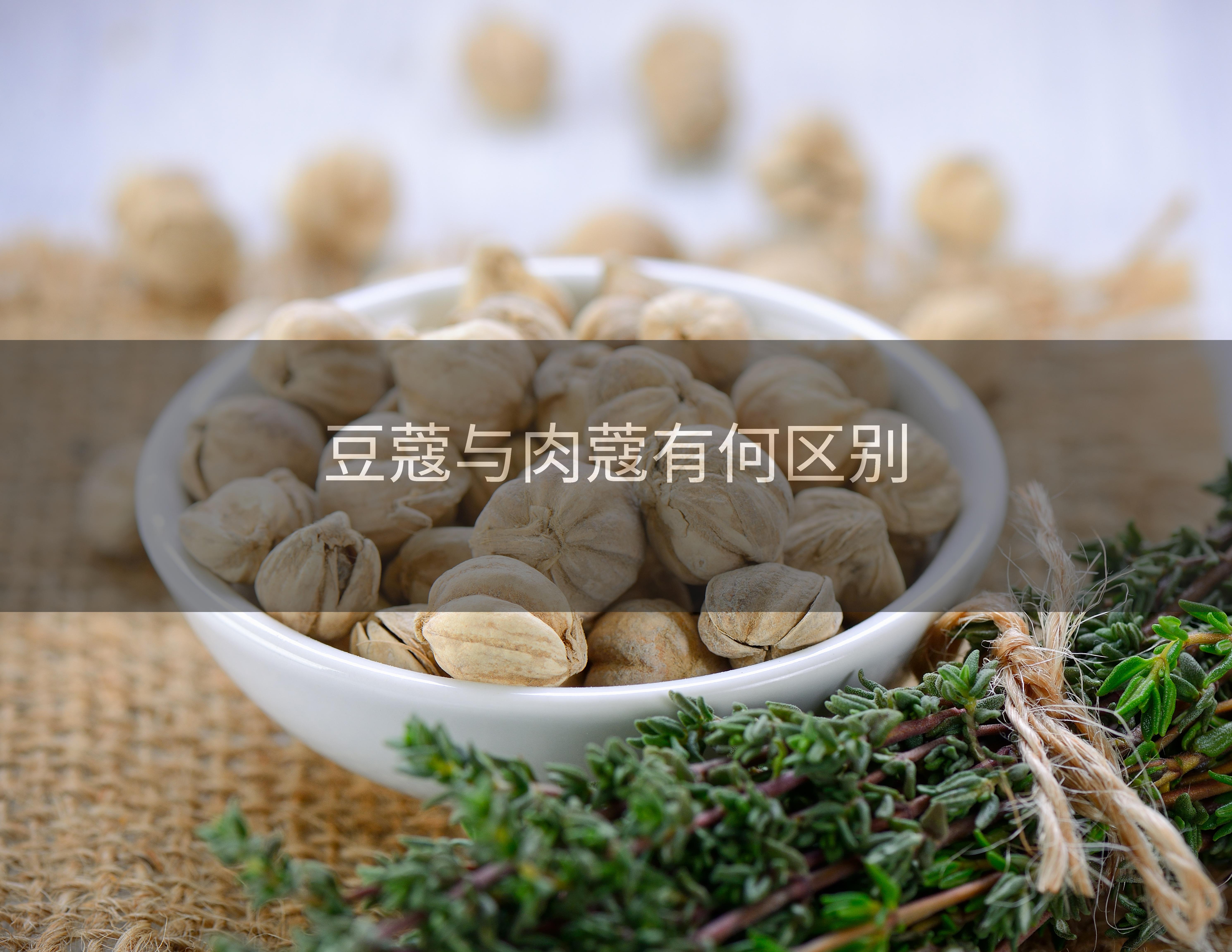 豆蔻与肉蔻有何区别