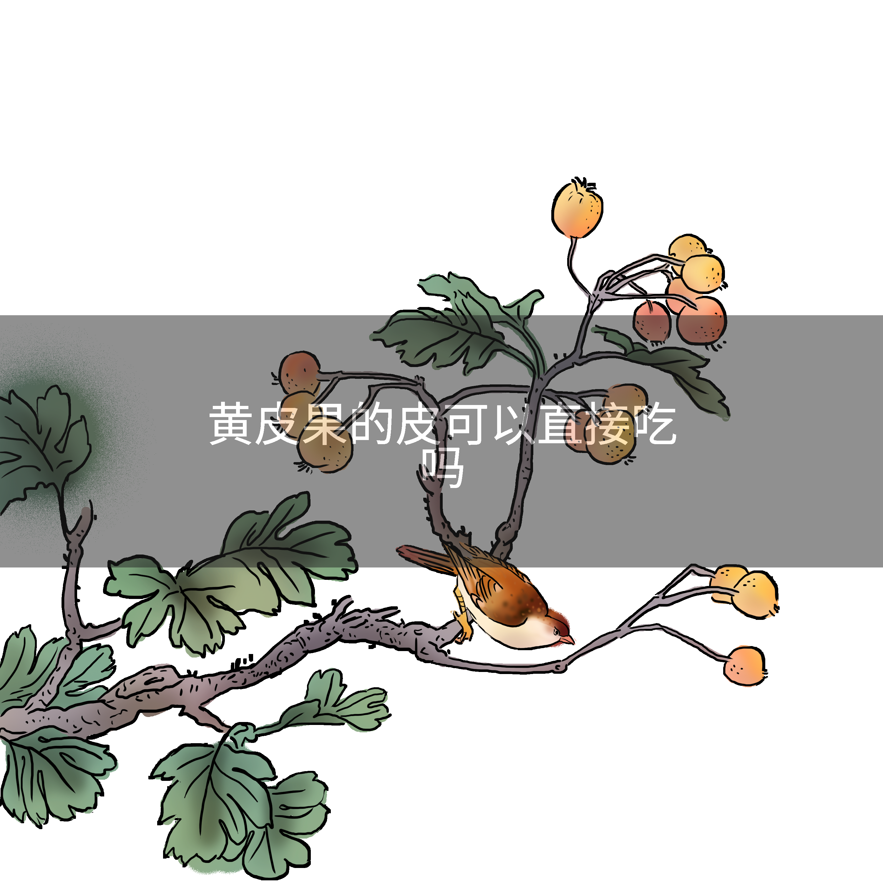 黄皮果的皮可以直接吃吗