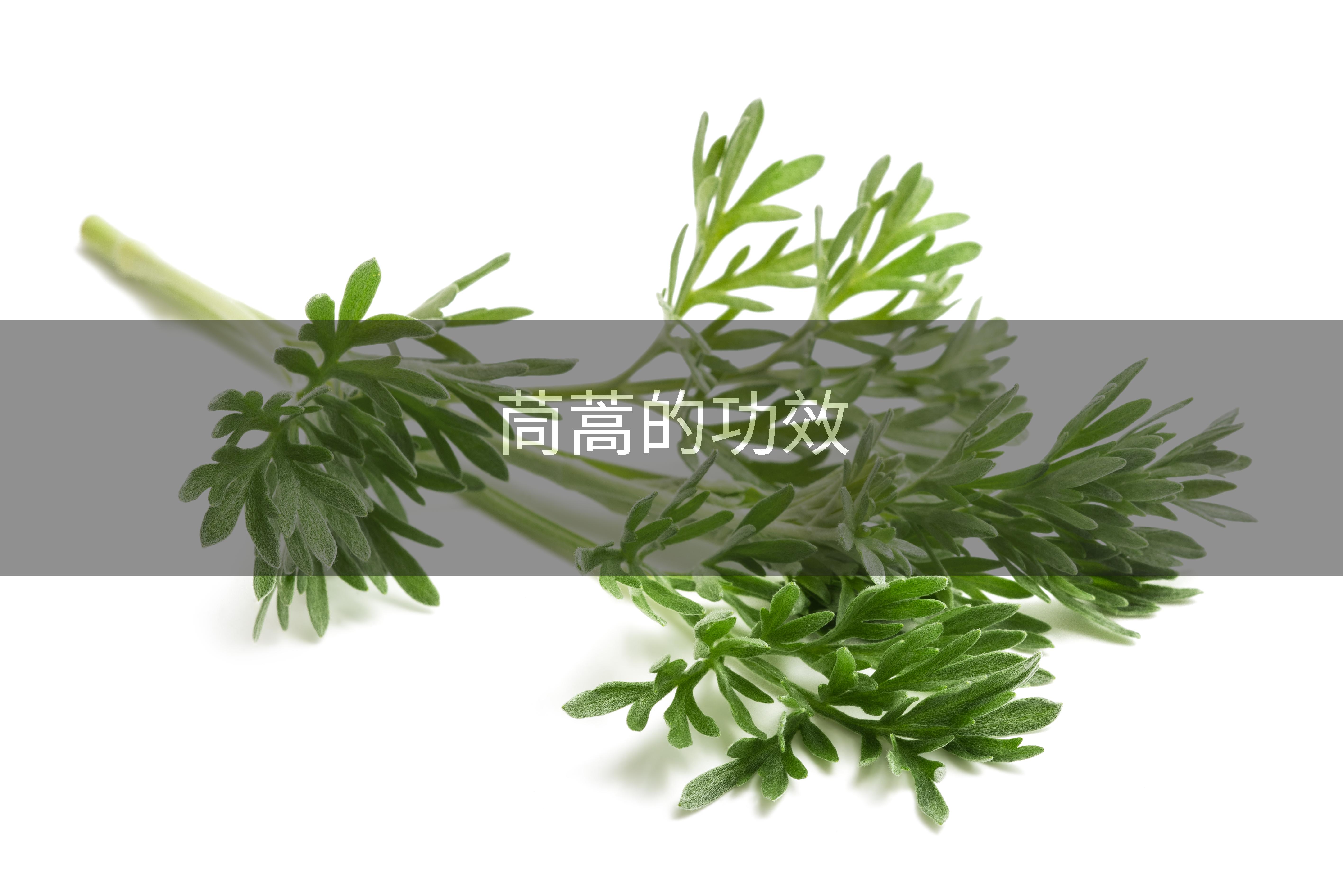 茼蒿的功效