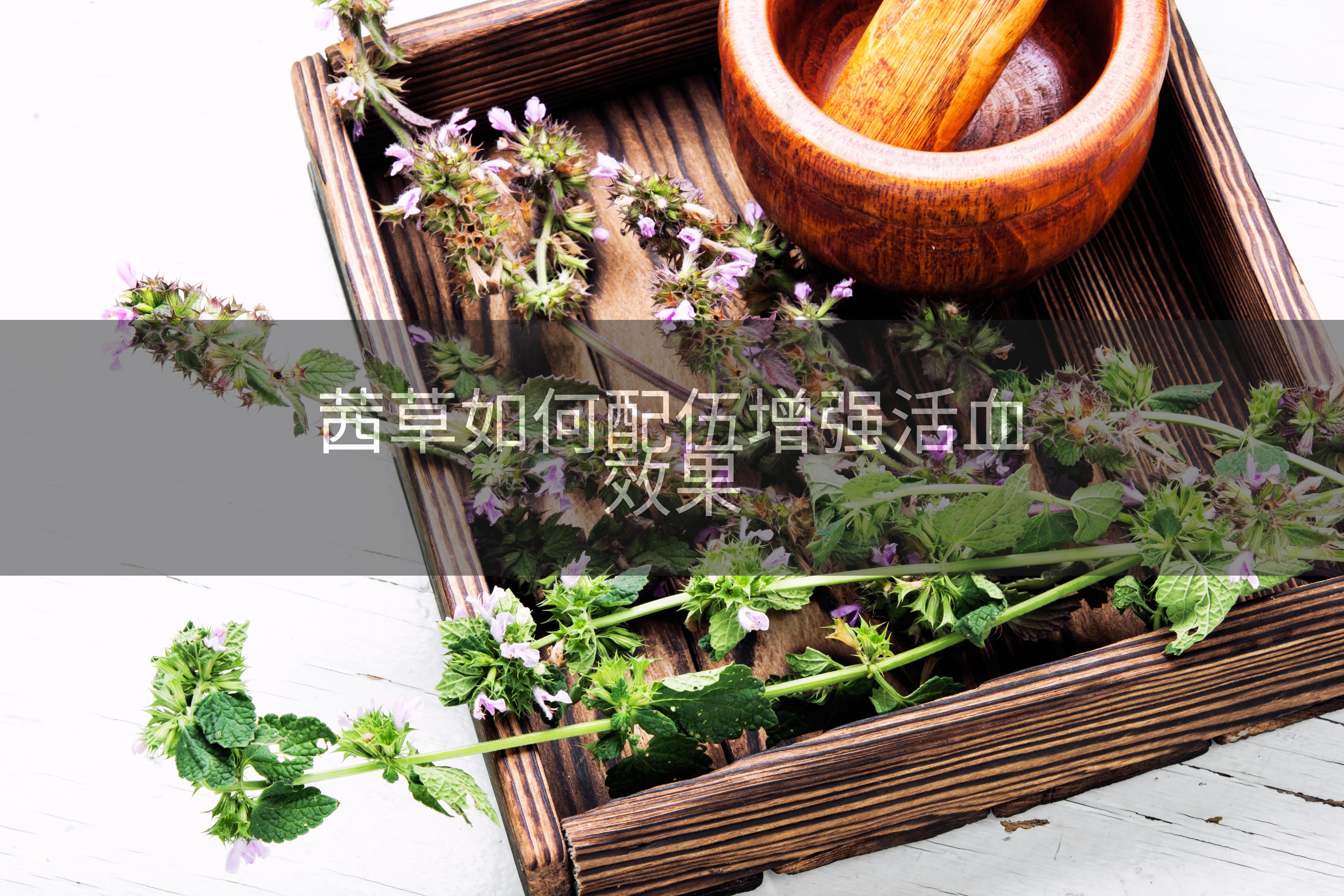 茜草如何配伍增强活血效果