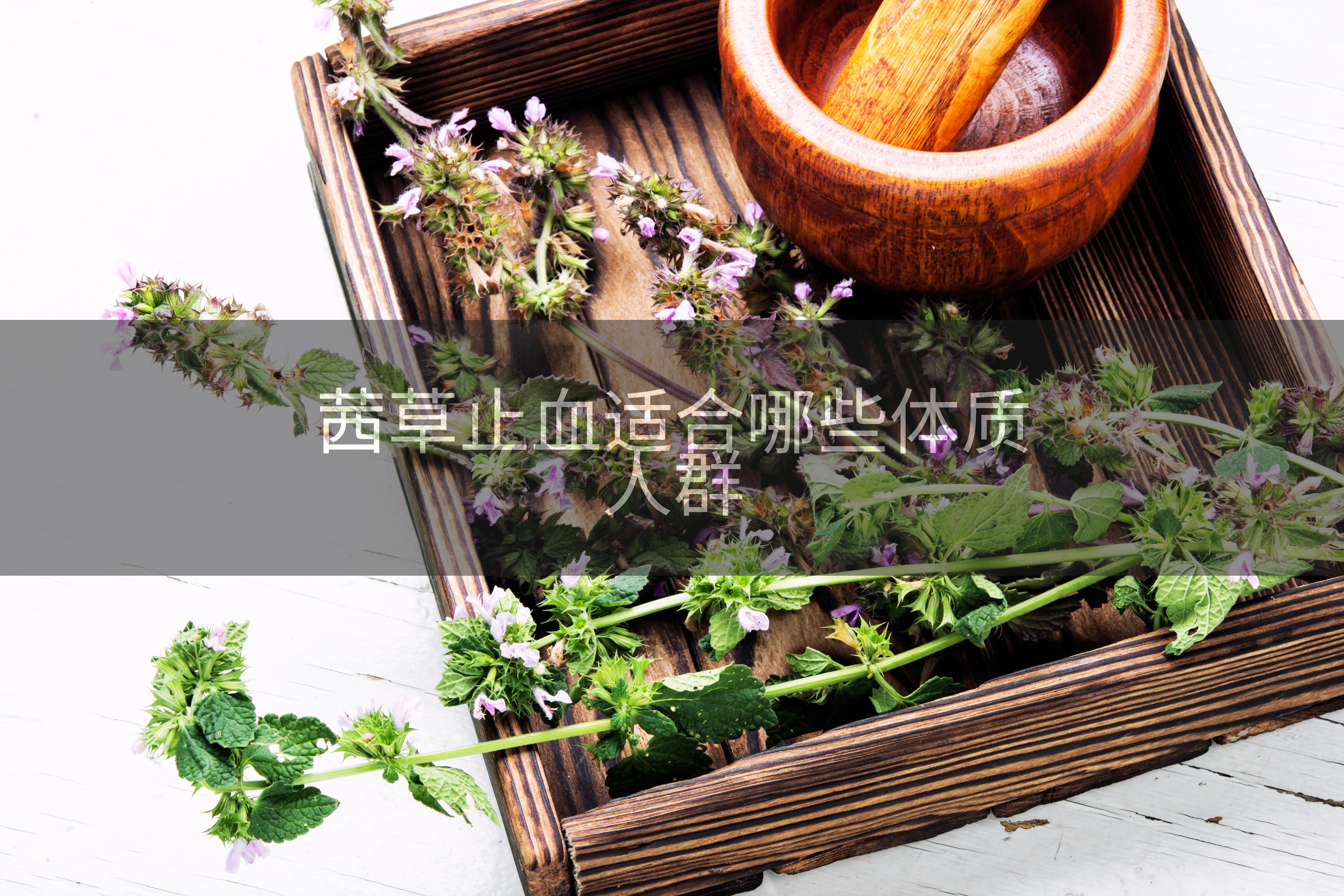茜草止血适合哪些体质人群