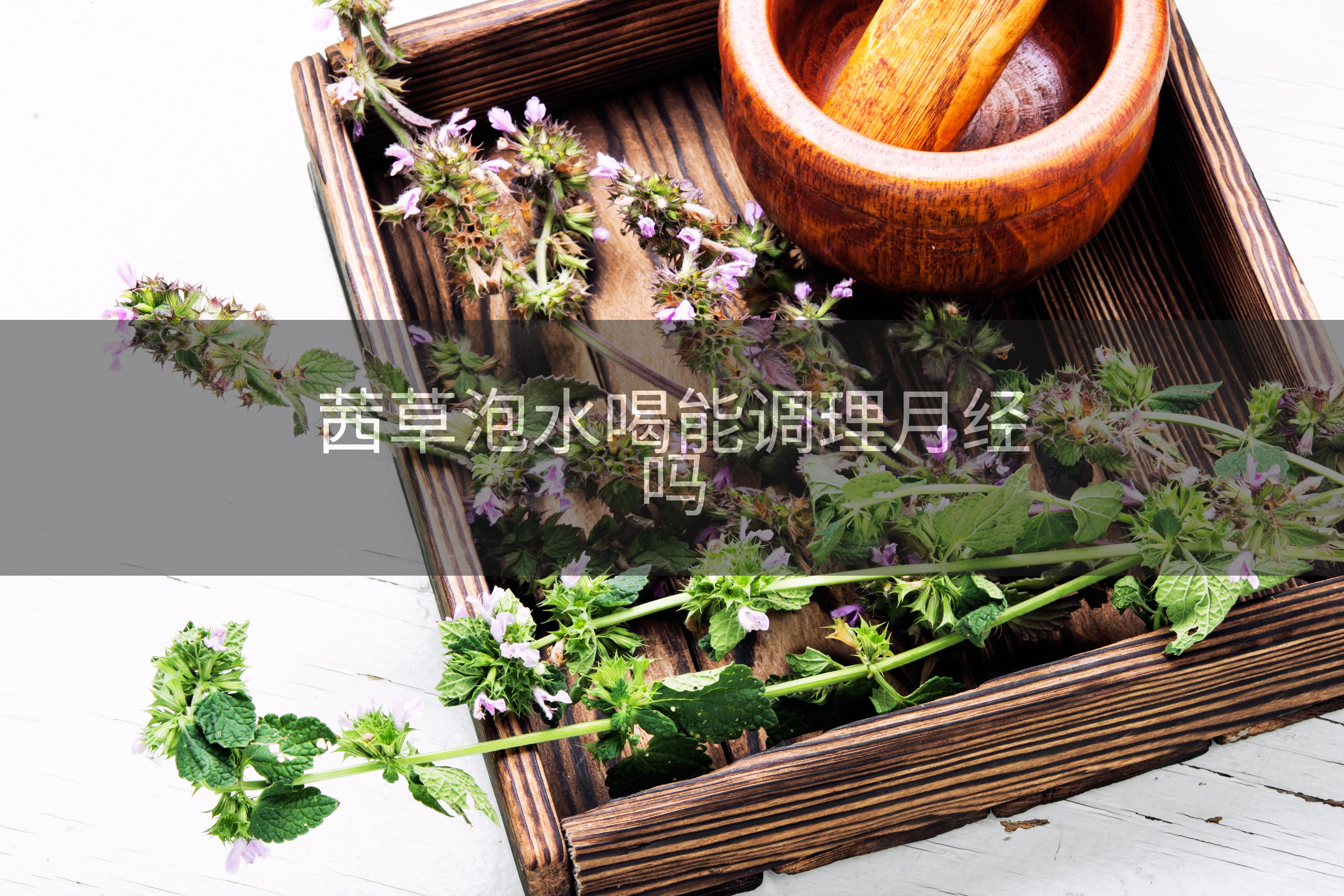 茜草泡水喝能调理月经吗