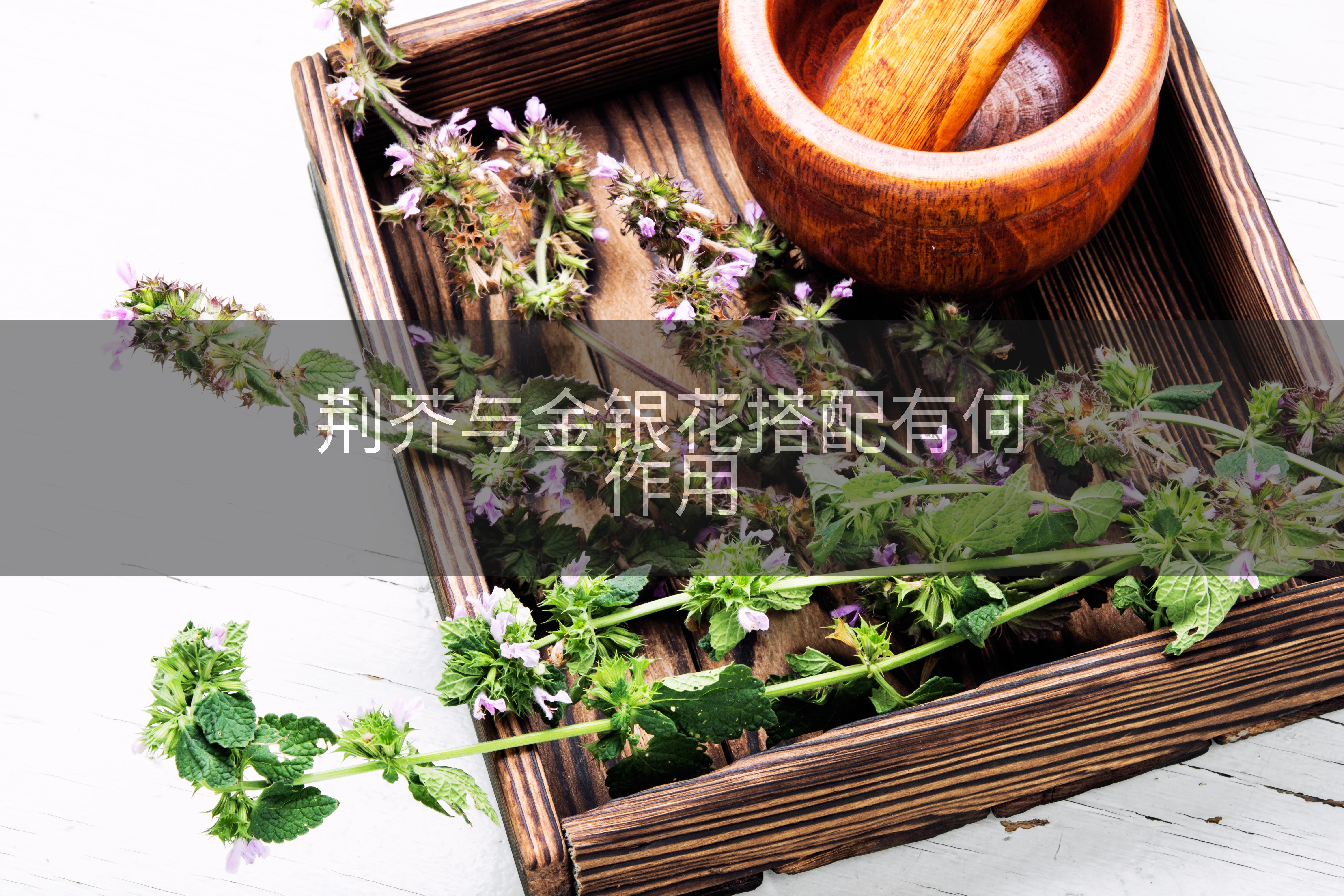 荆芥与金银花搭配有何作用
