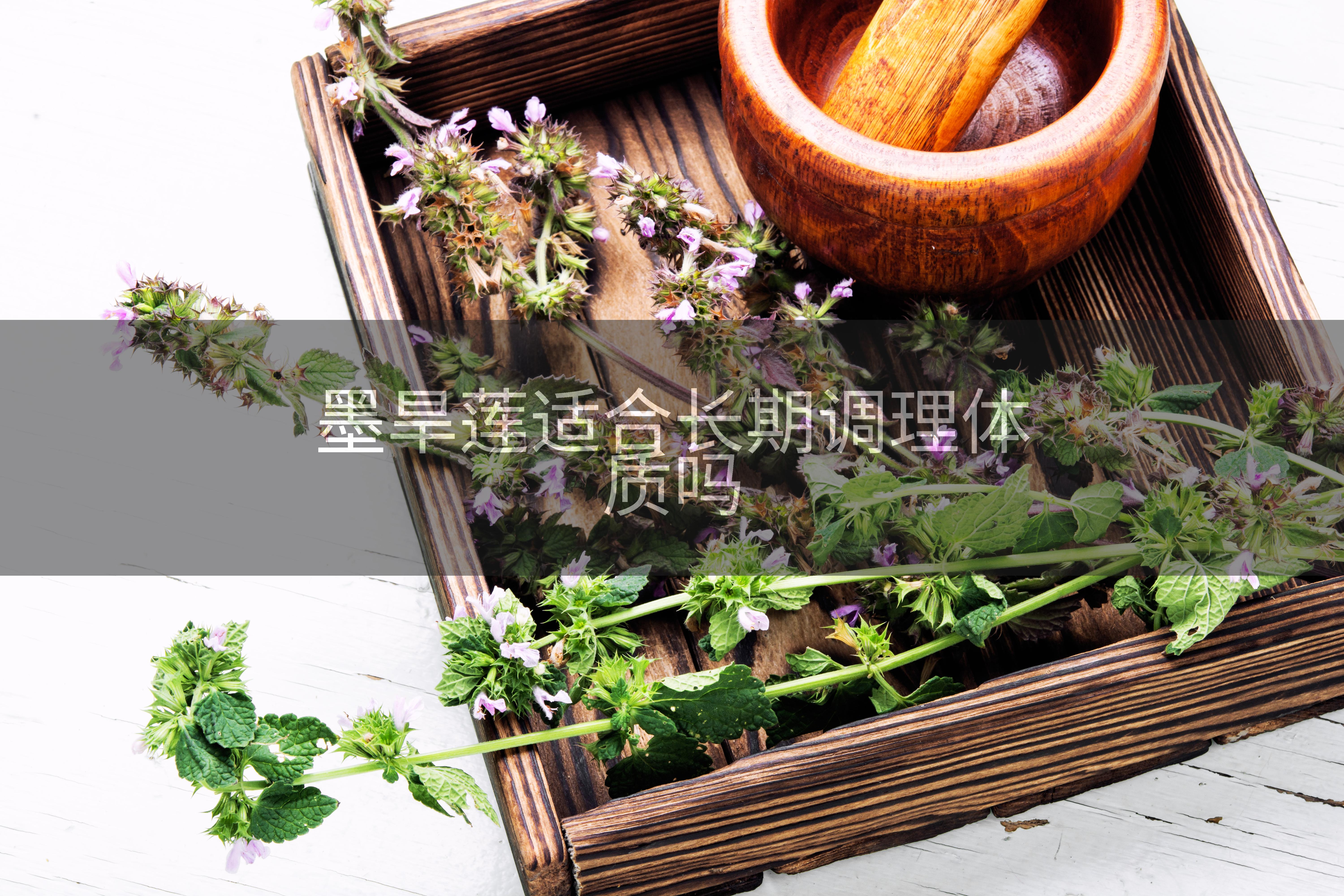 墨旱莲适合长期调理体质吗