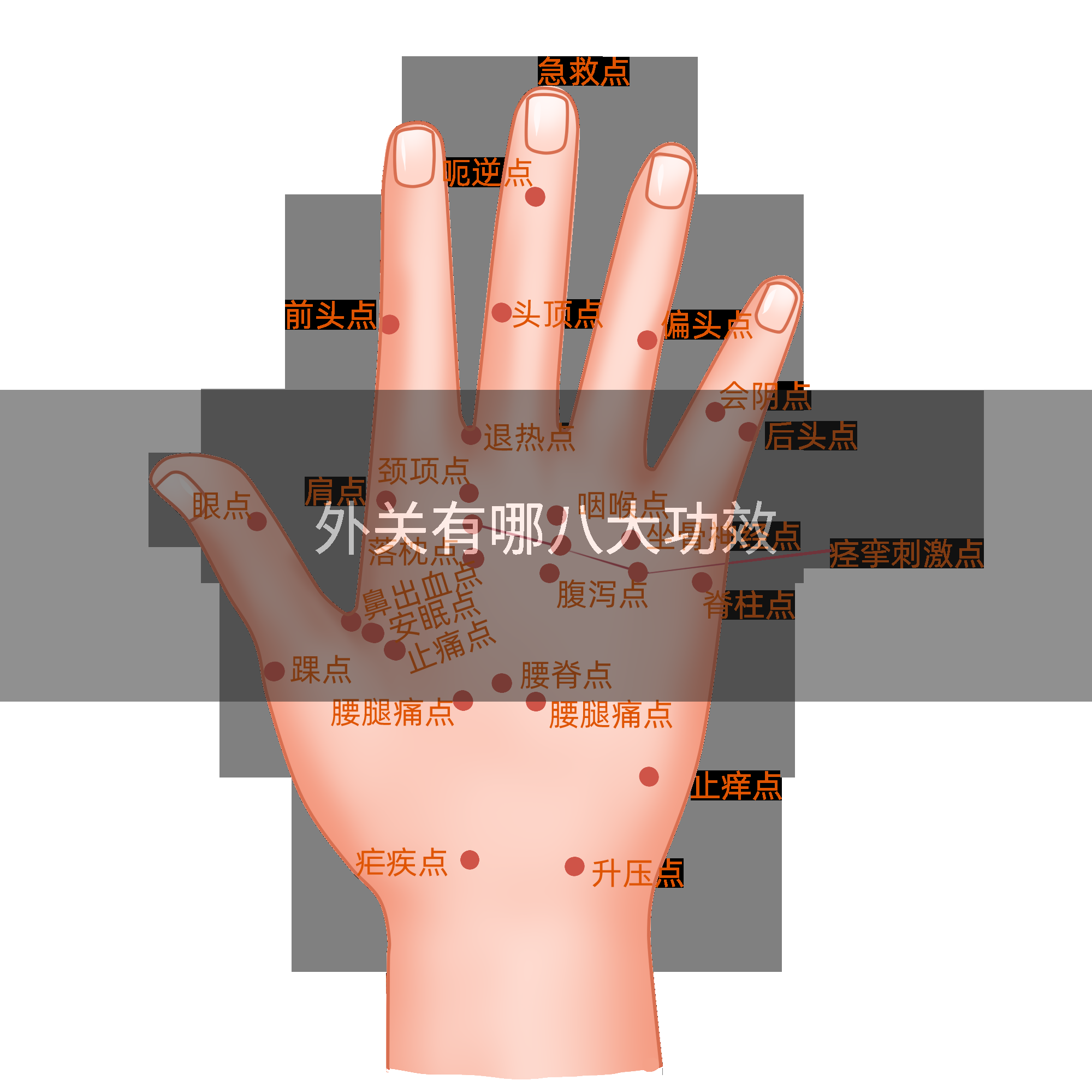 外关有哪八大功效