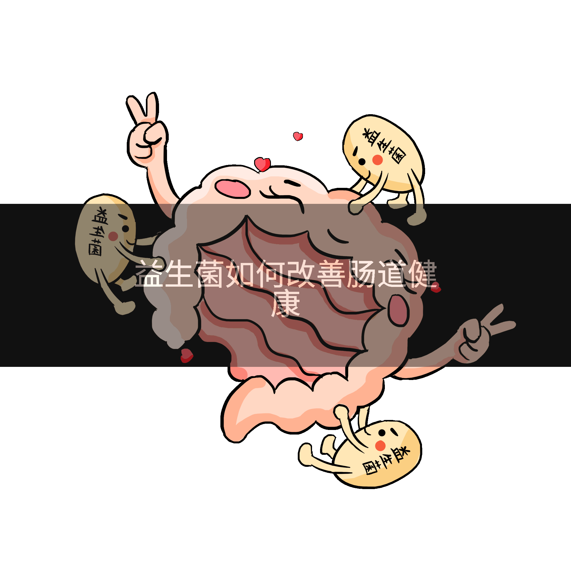 益生菌如何改善肠道健康