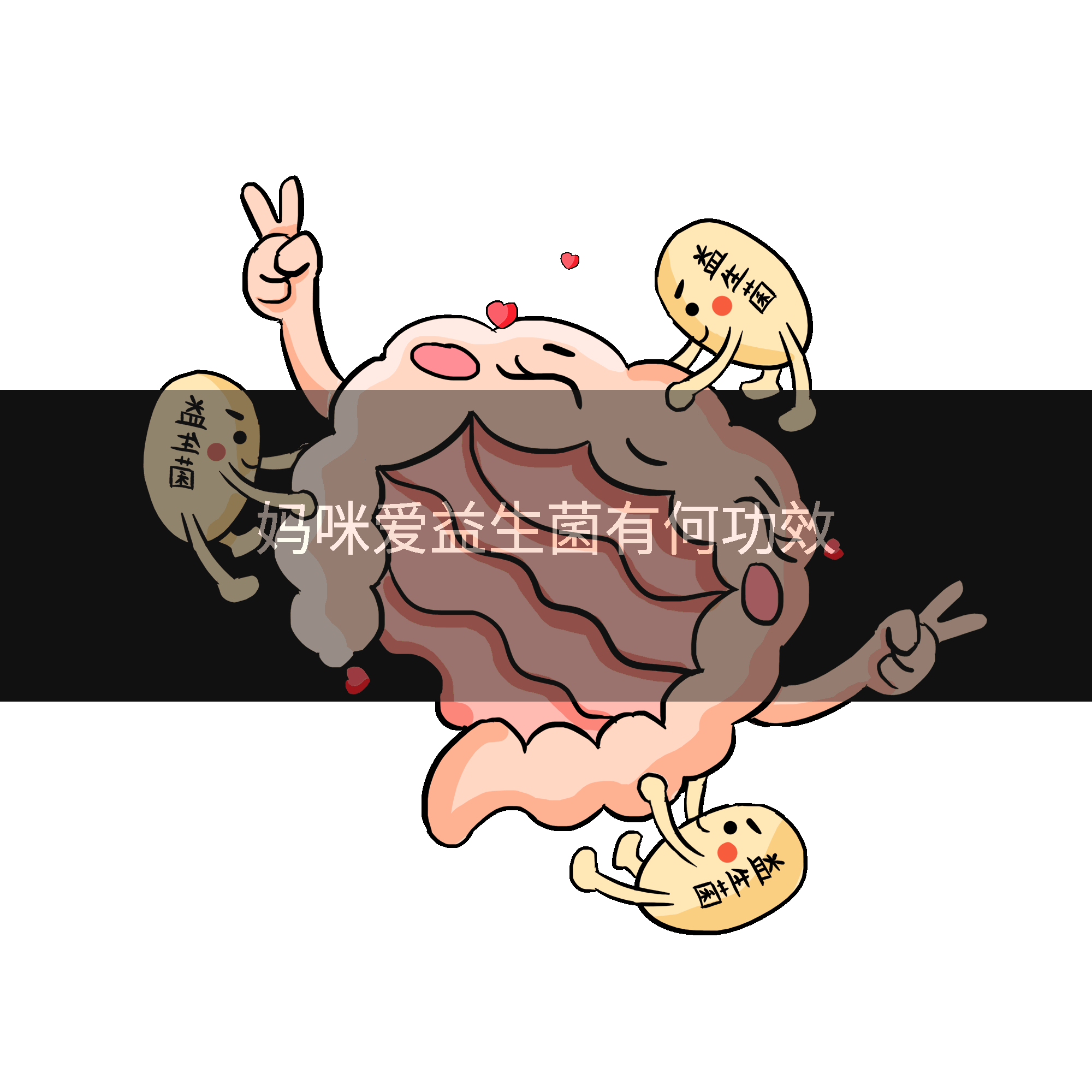 妈咪爱益生菌有何功效
