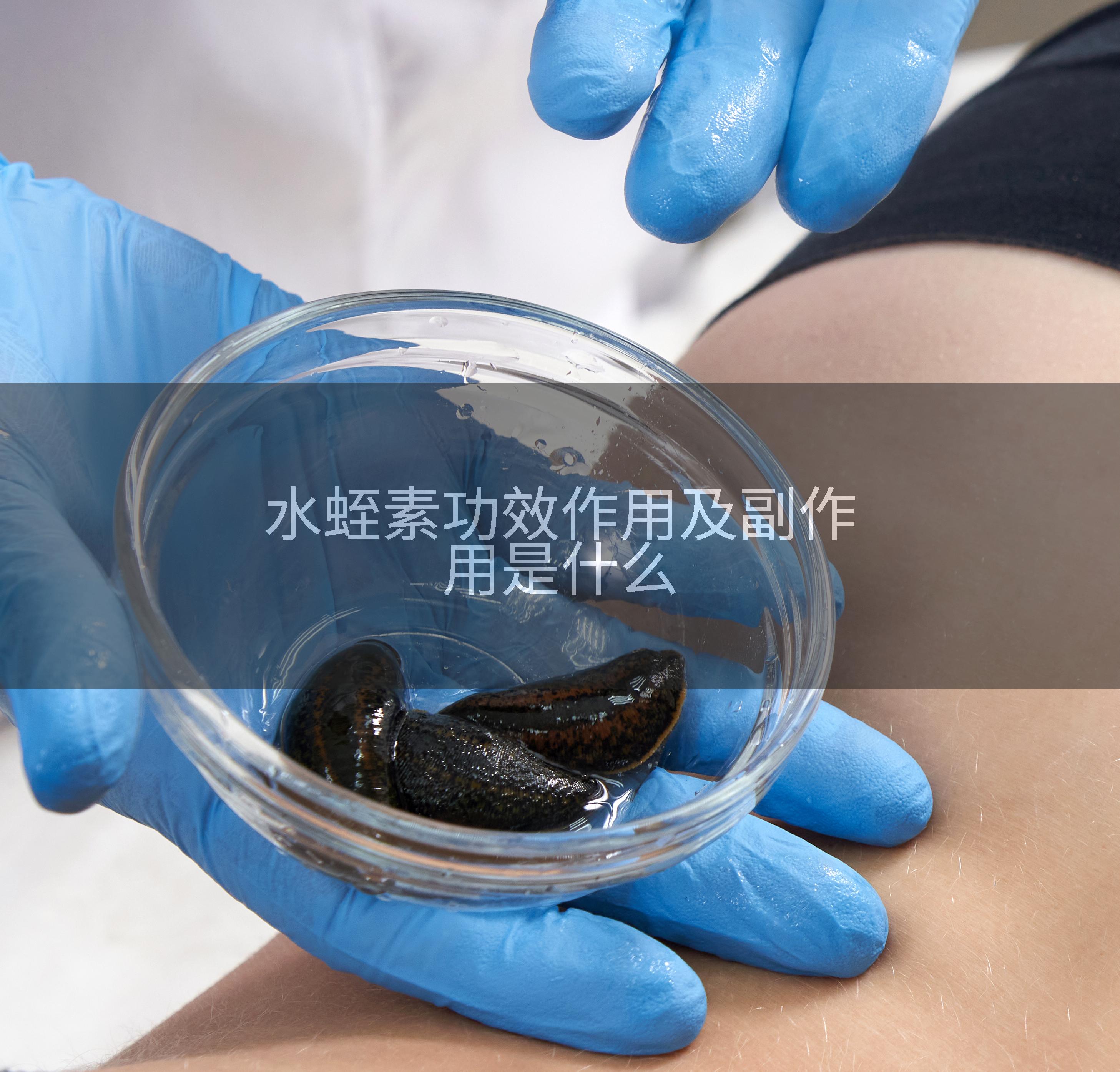水蛭素功效作用及副作用是什么