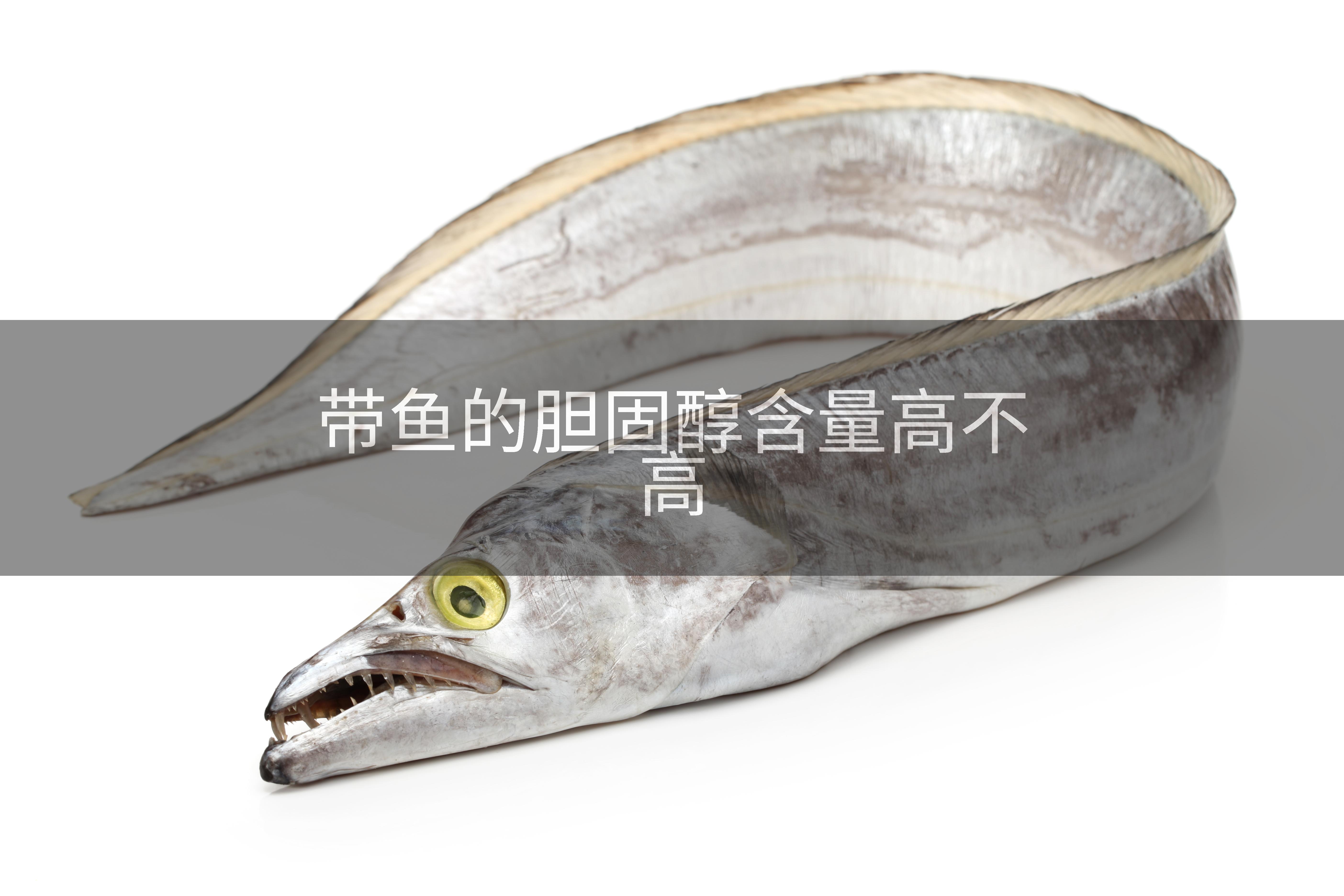 带鱼的胆固醇含量高不高