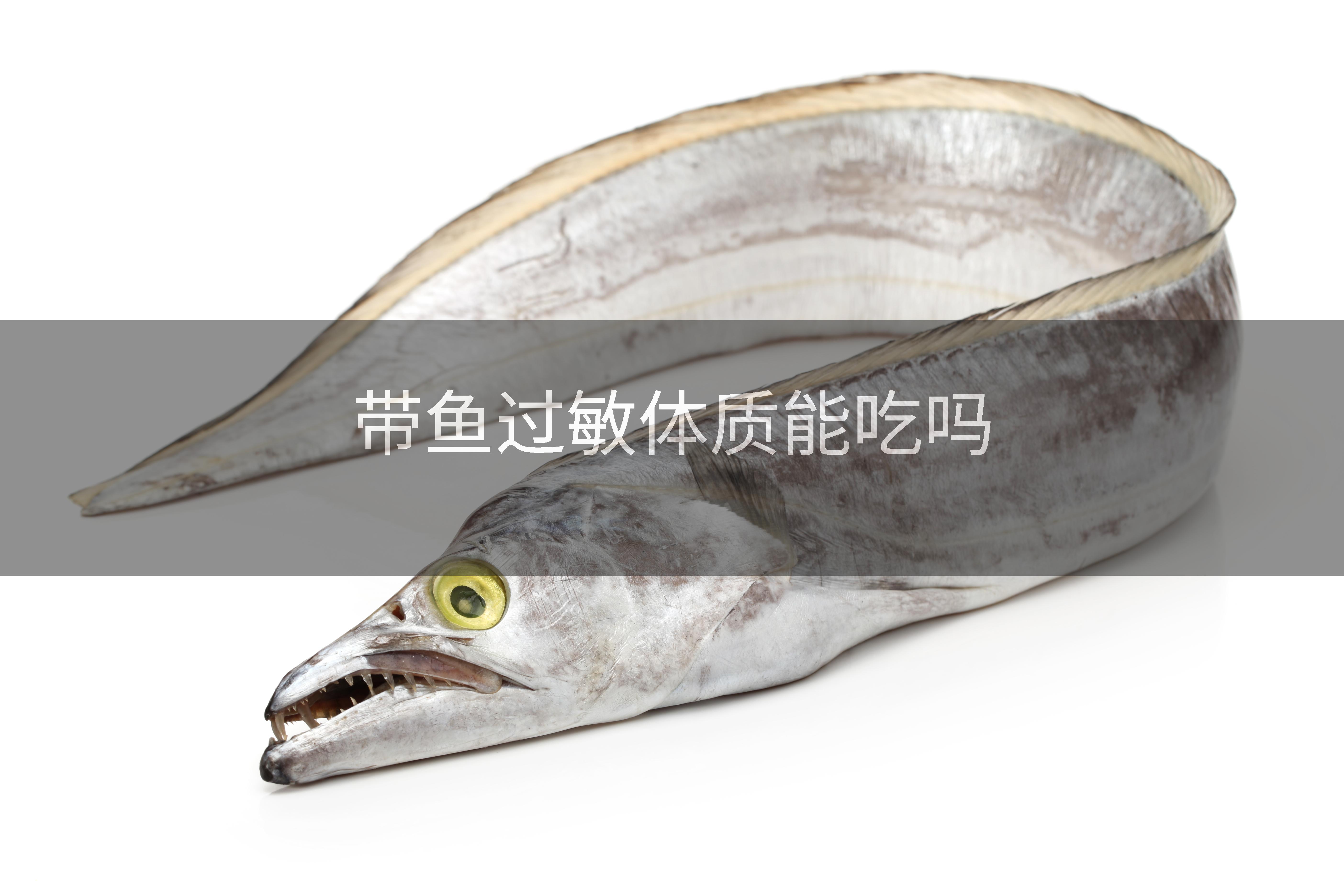 带鱼过敏体质能吃吗