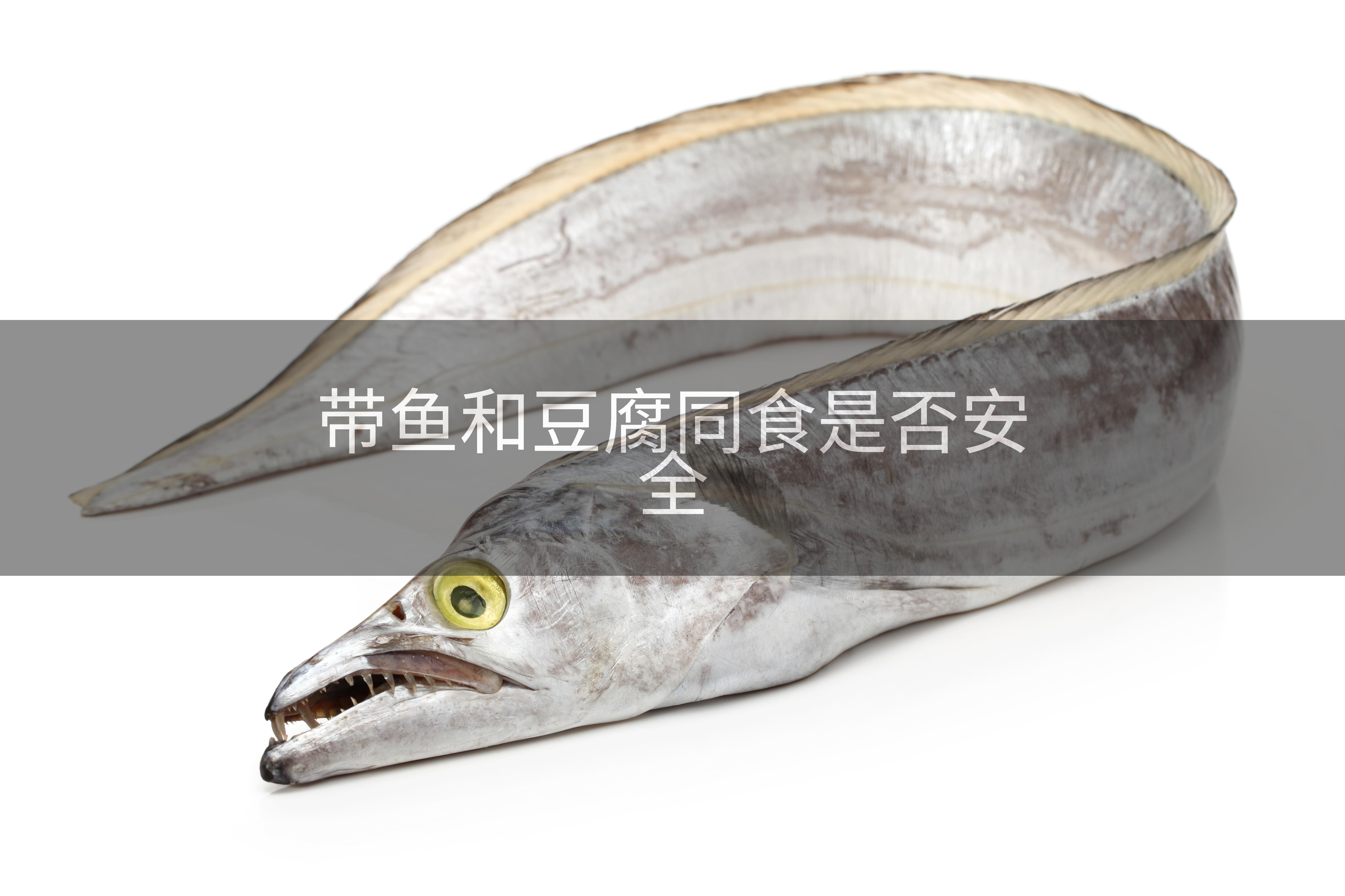 带鱼和豆腐同食是否安全