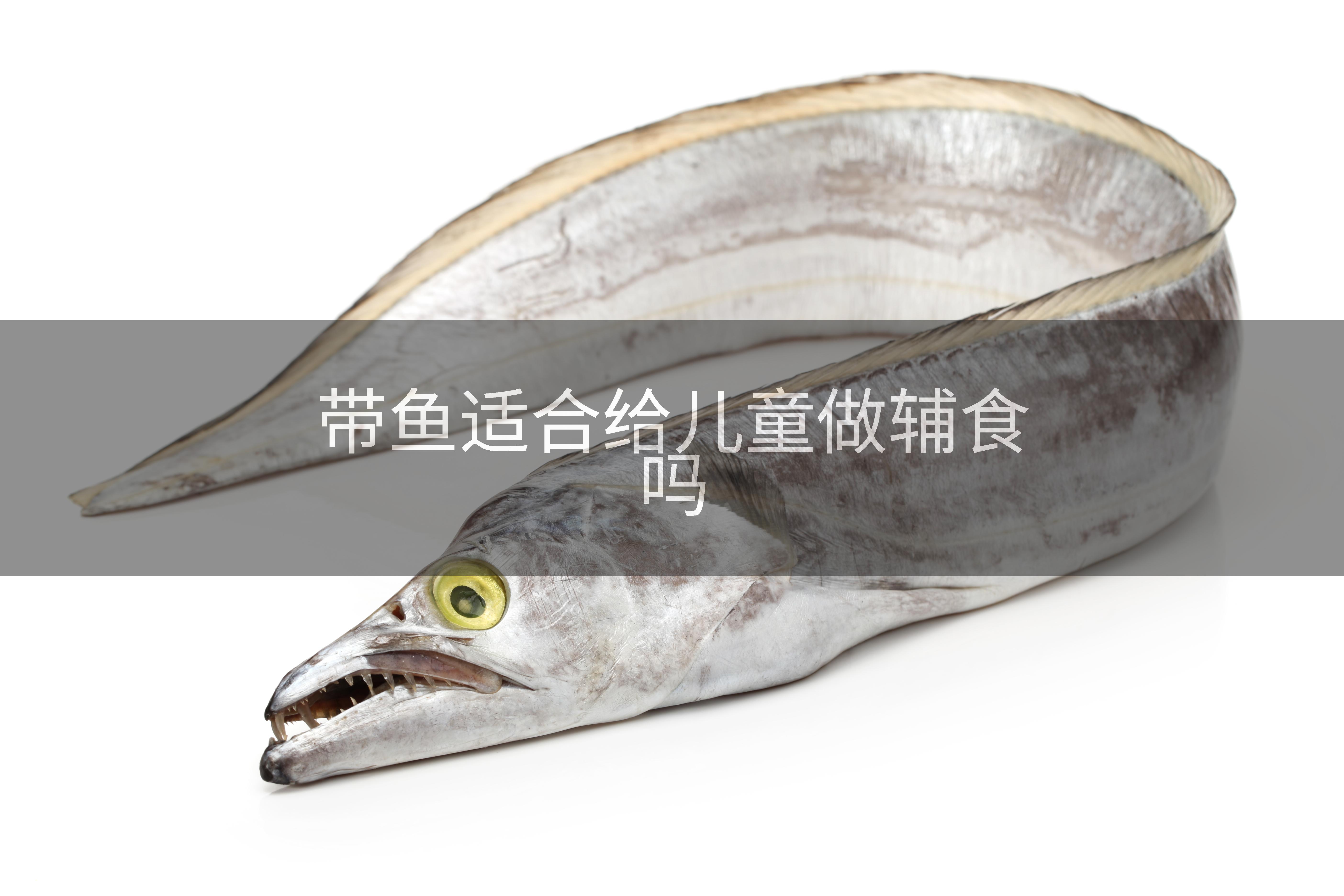 带鱼适合给儿童做辅食吗
