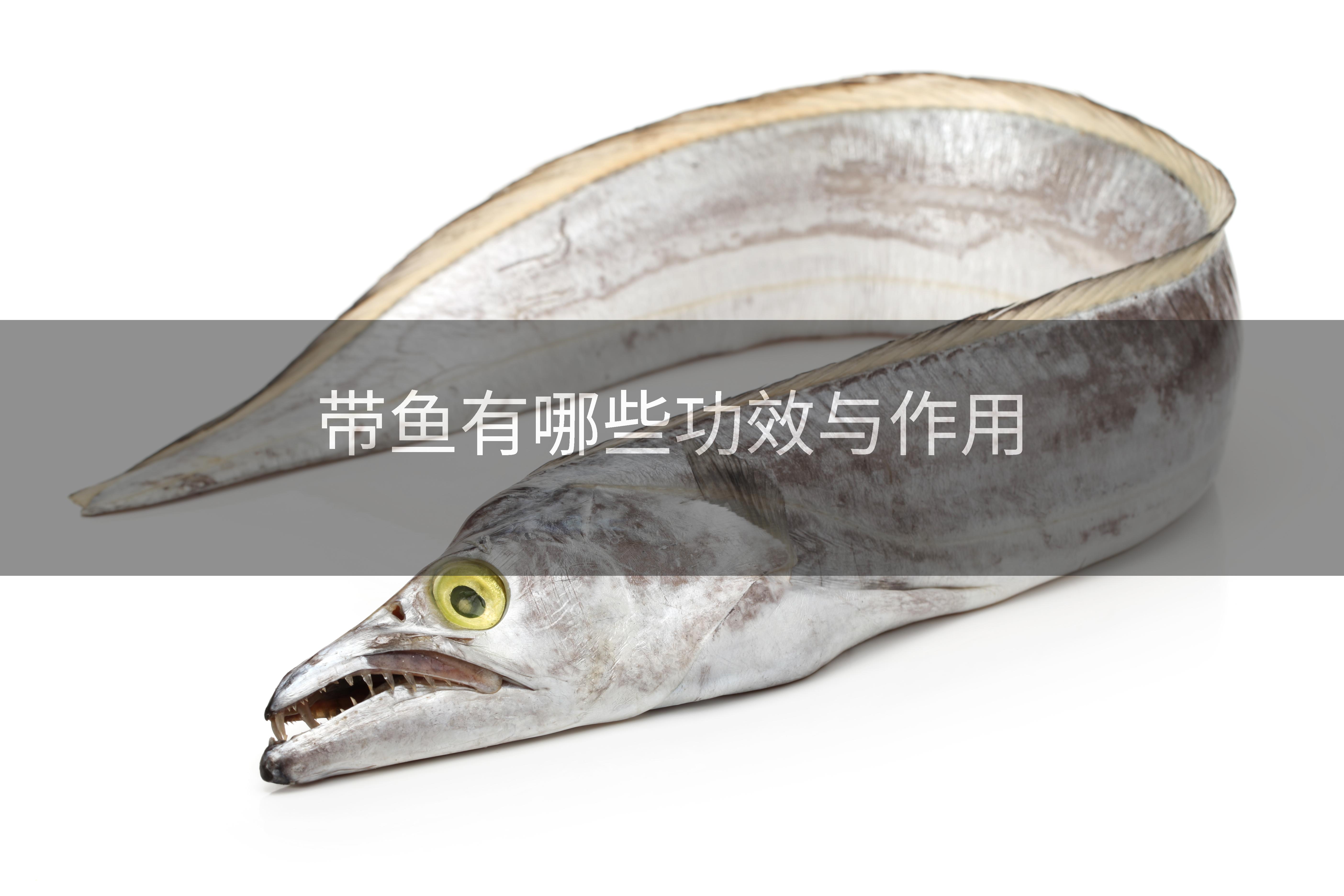 带鱼有哪些功效与作用