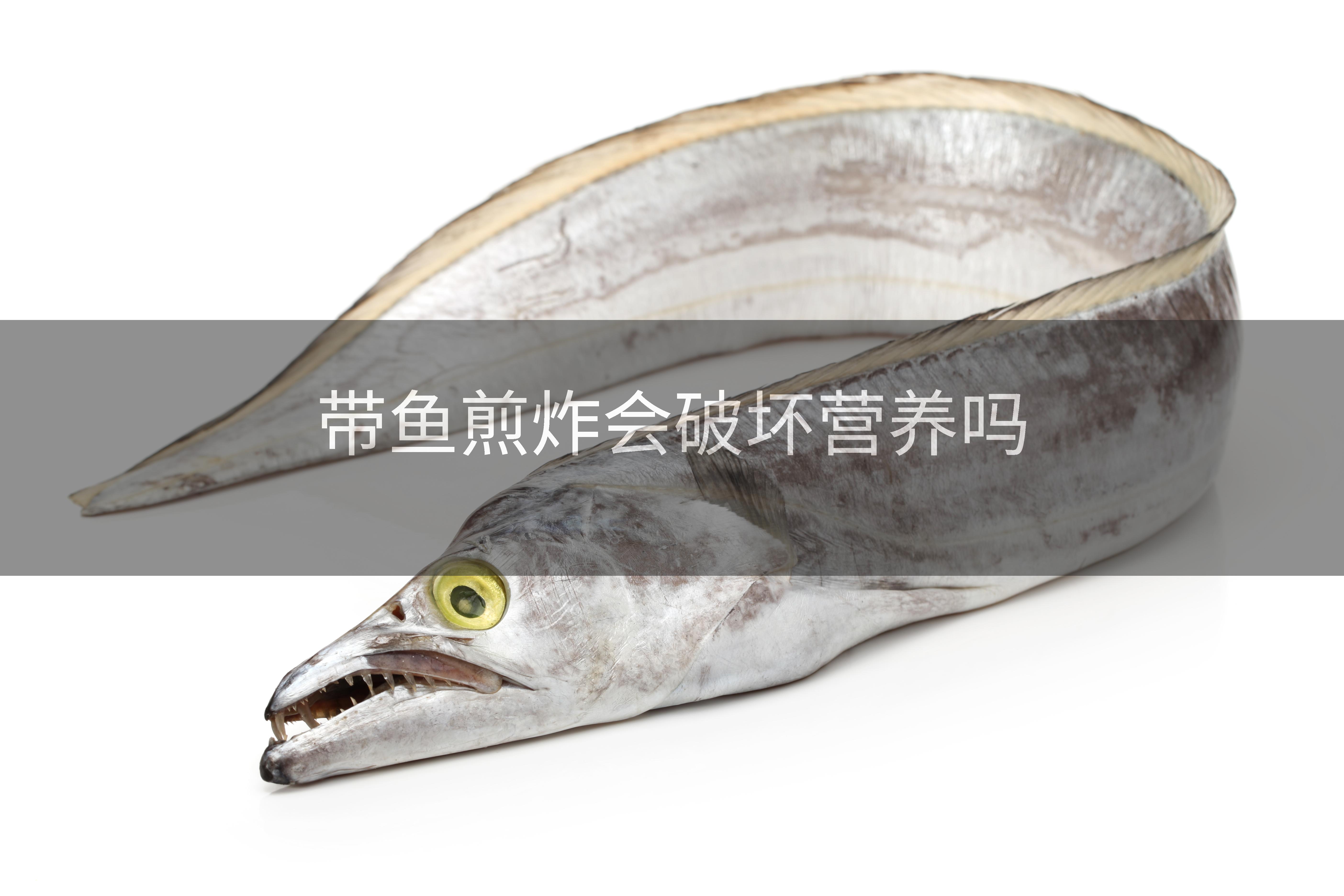 带鱼煎炸会破坏营养吗