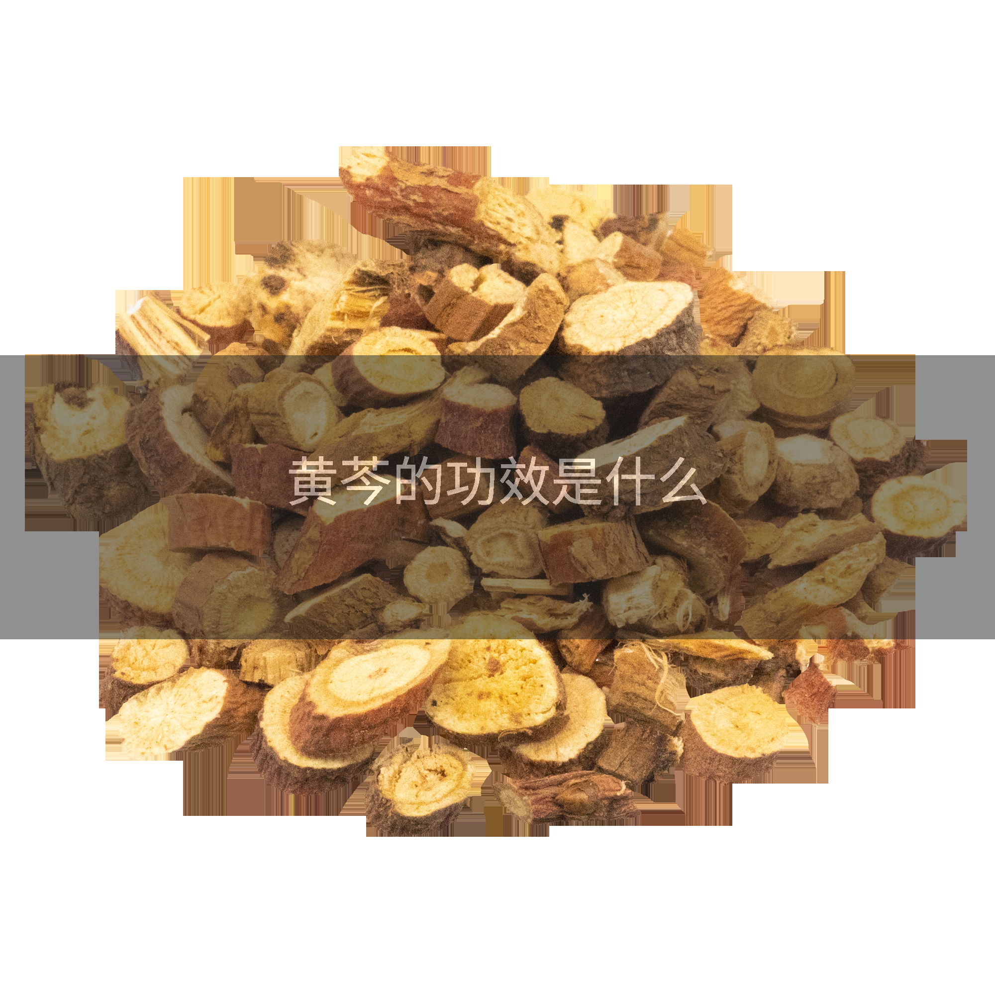 黄芩的功效是什么