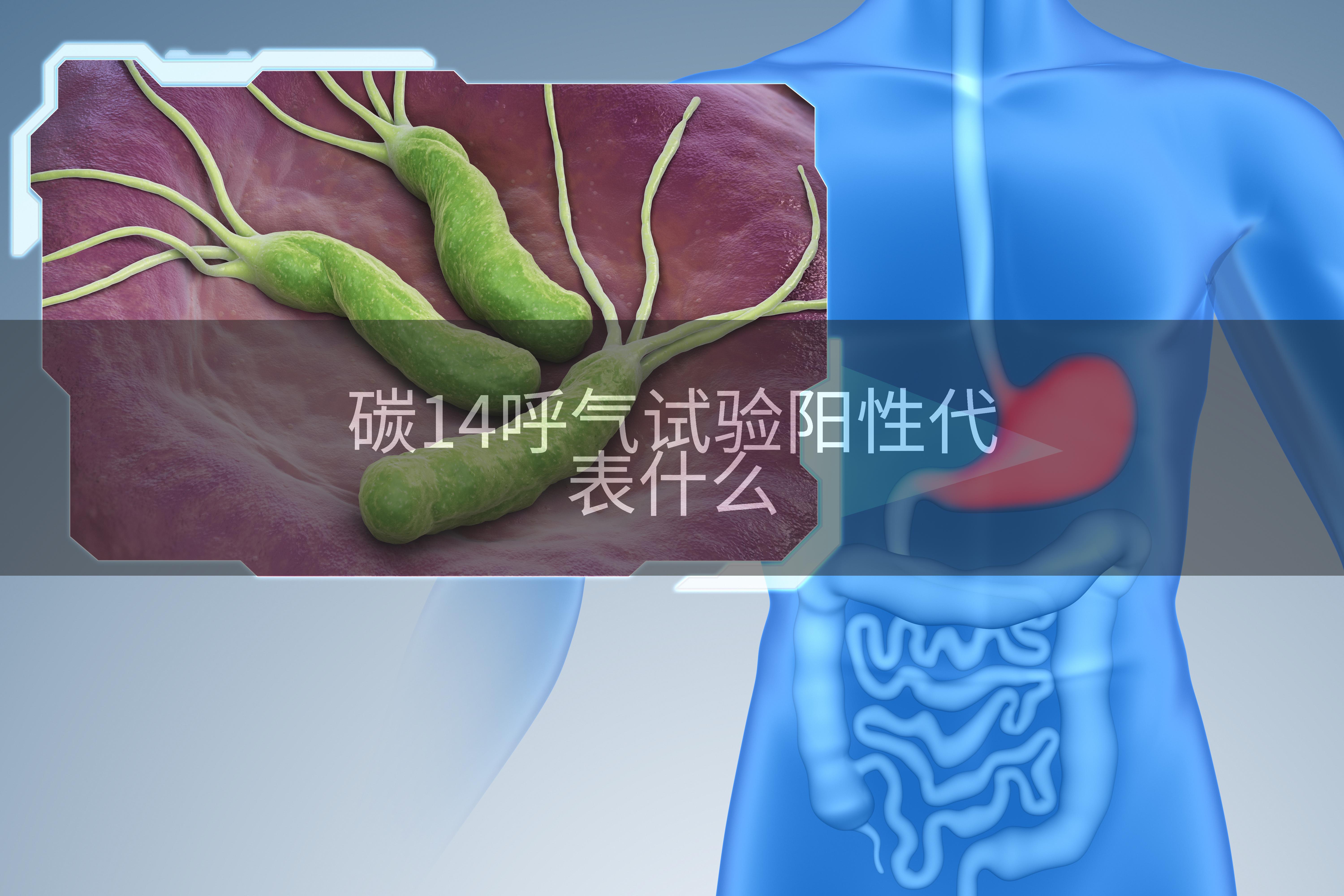 碳14呼气试验阳性代表什么