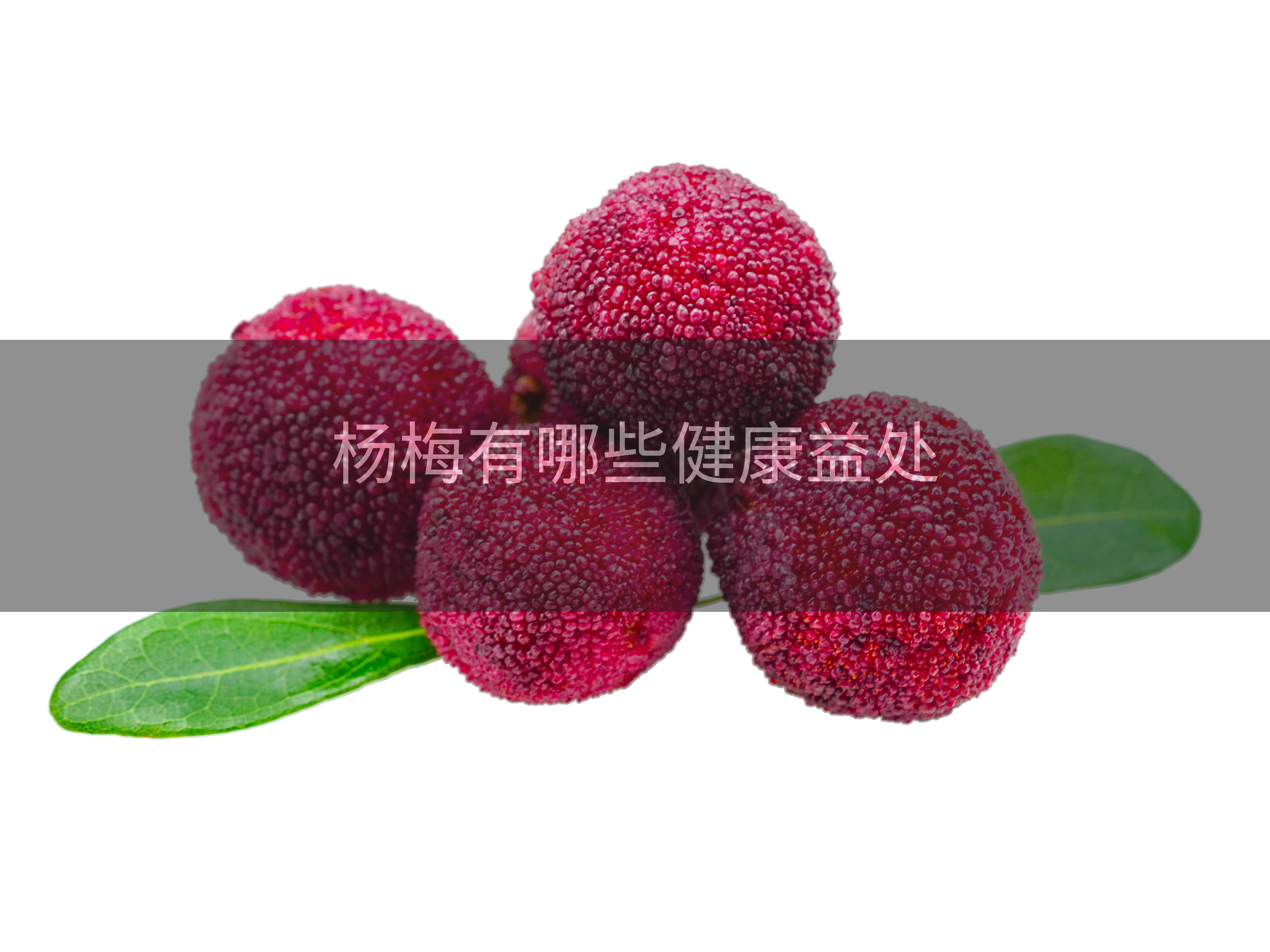 杨梅有哪些健康益处