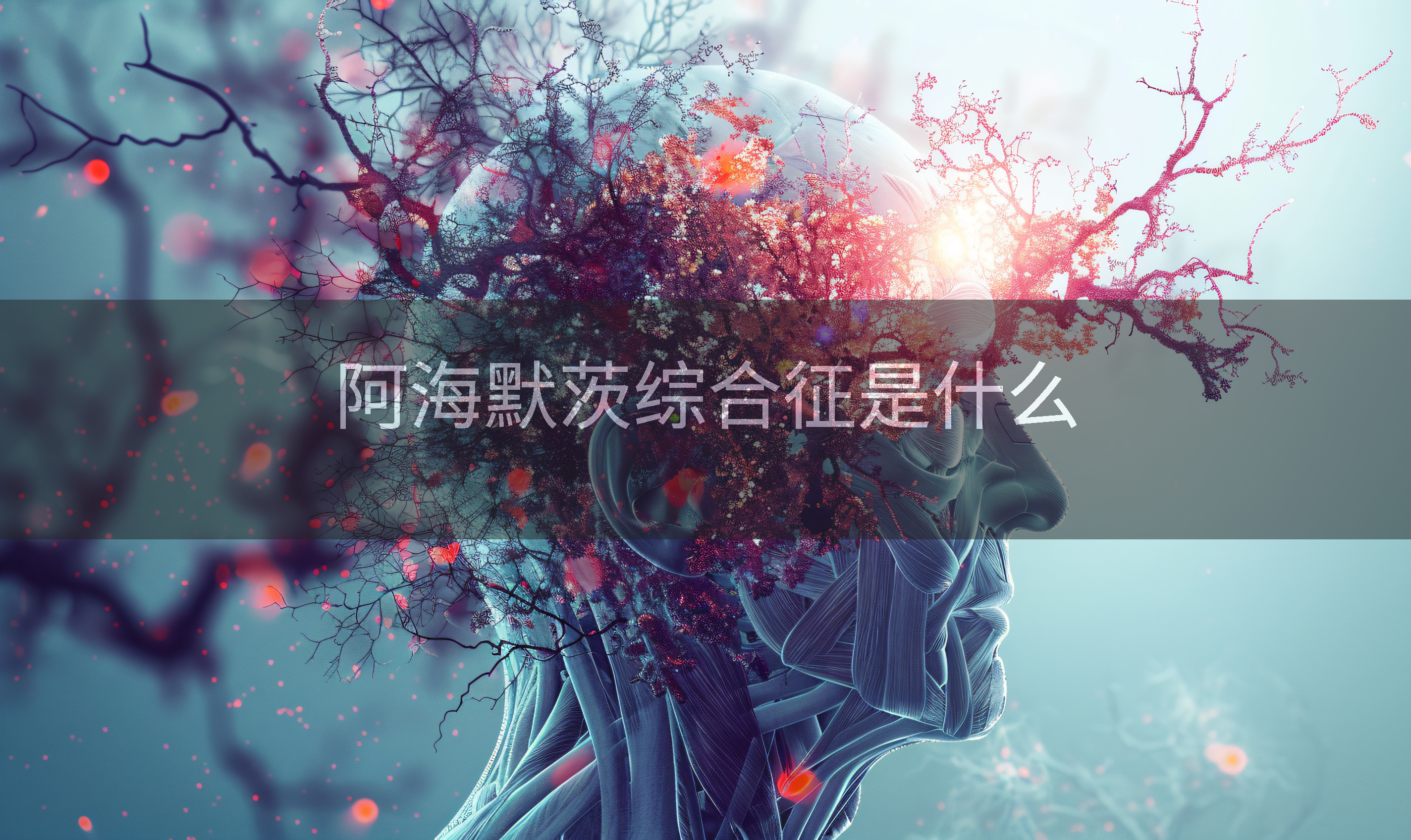 阿海默茨综合征是什么