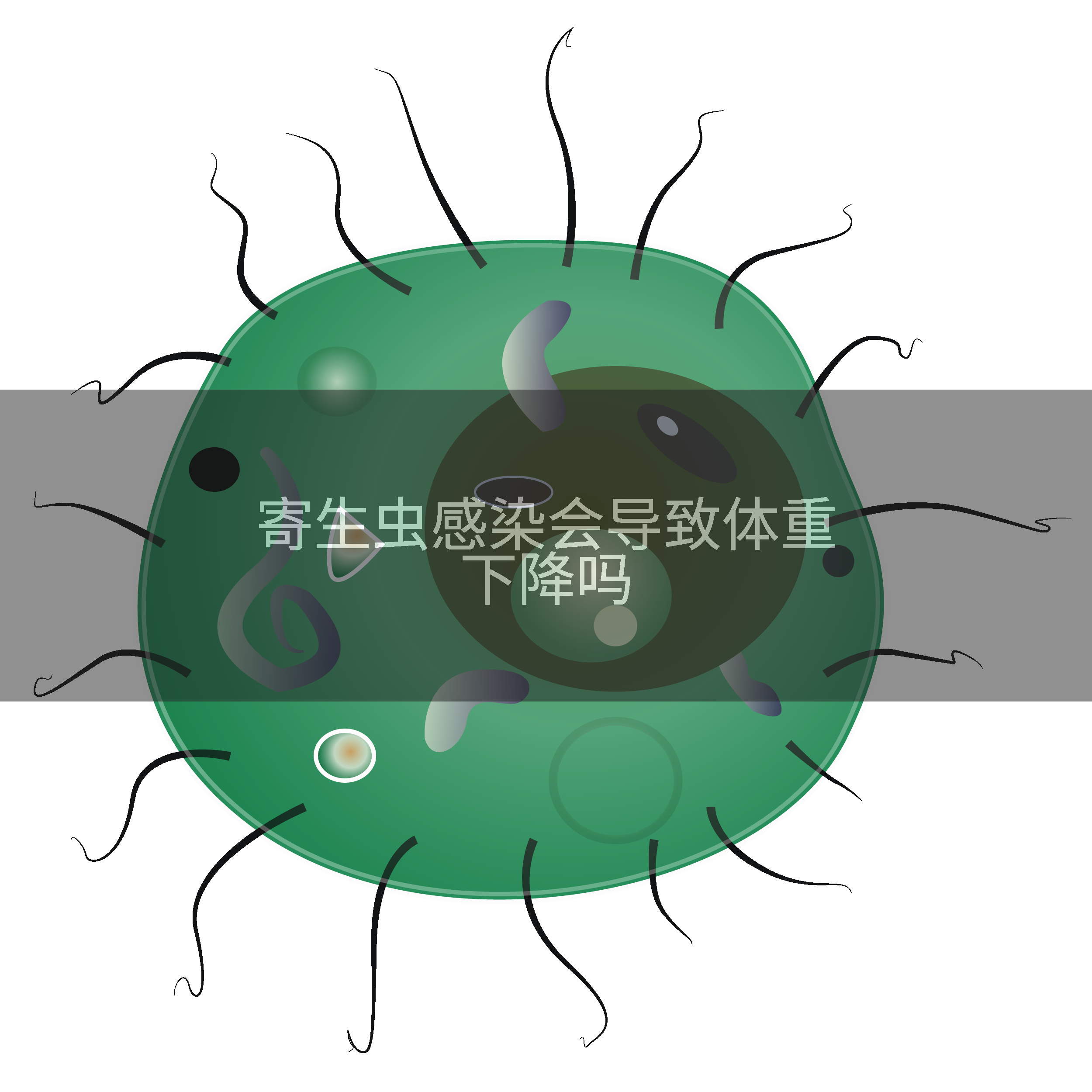 寄生虫感染会导致体重下降吗