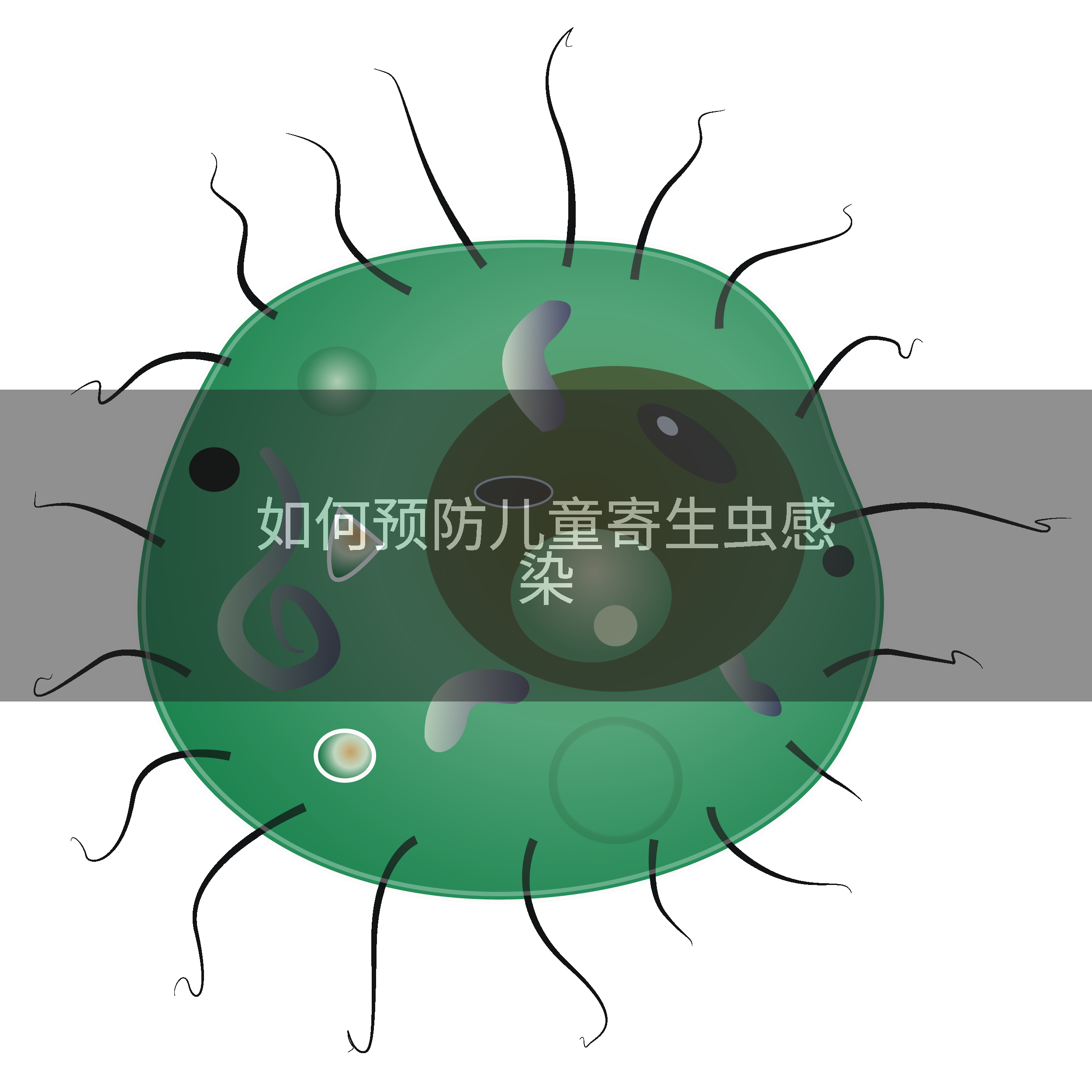 如何预防儿童寄生虫感染