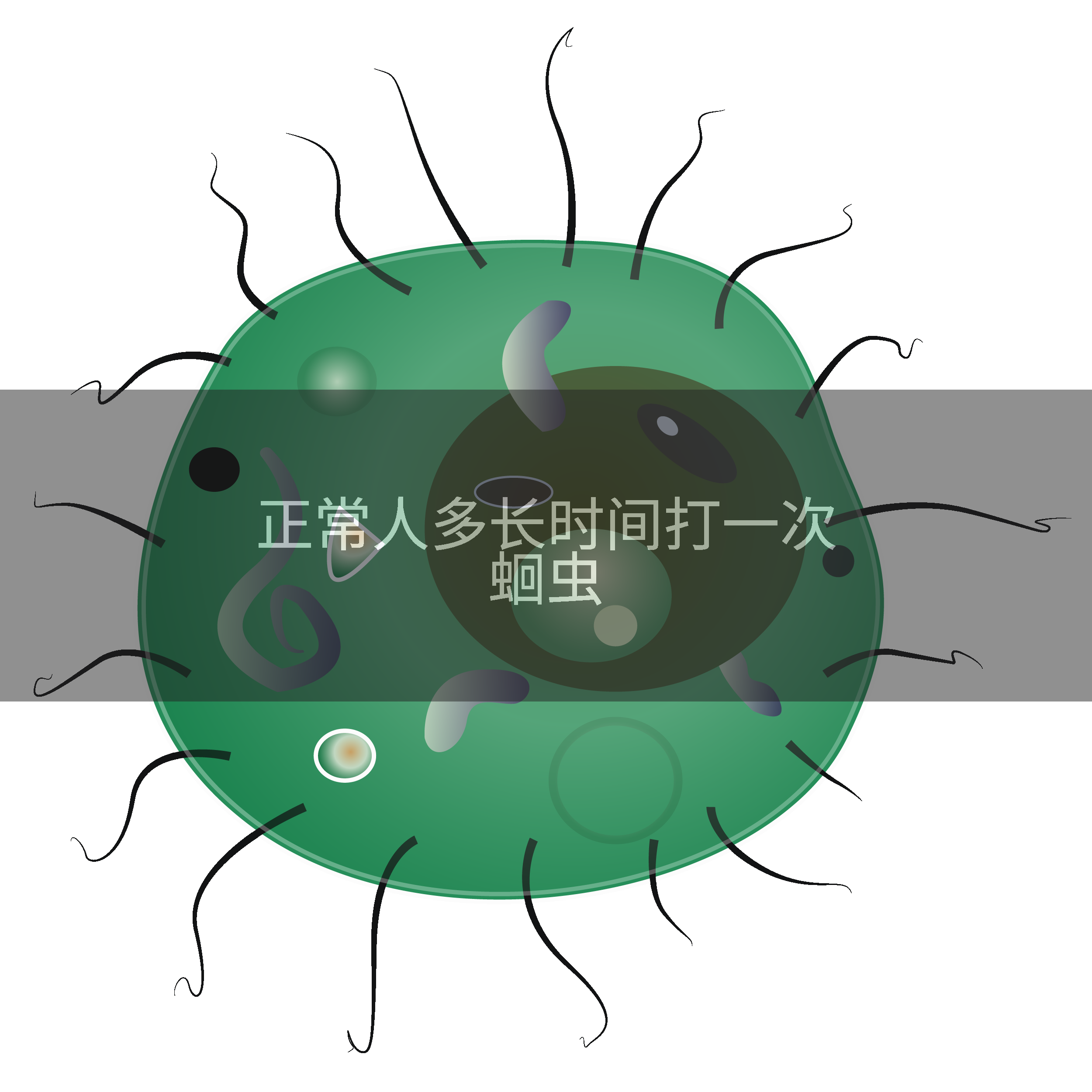 正常人多长时间打一次蛔虫