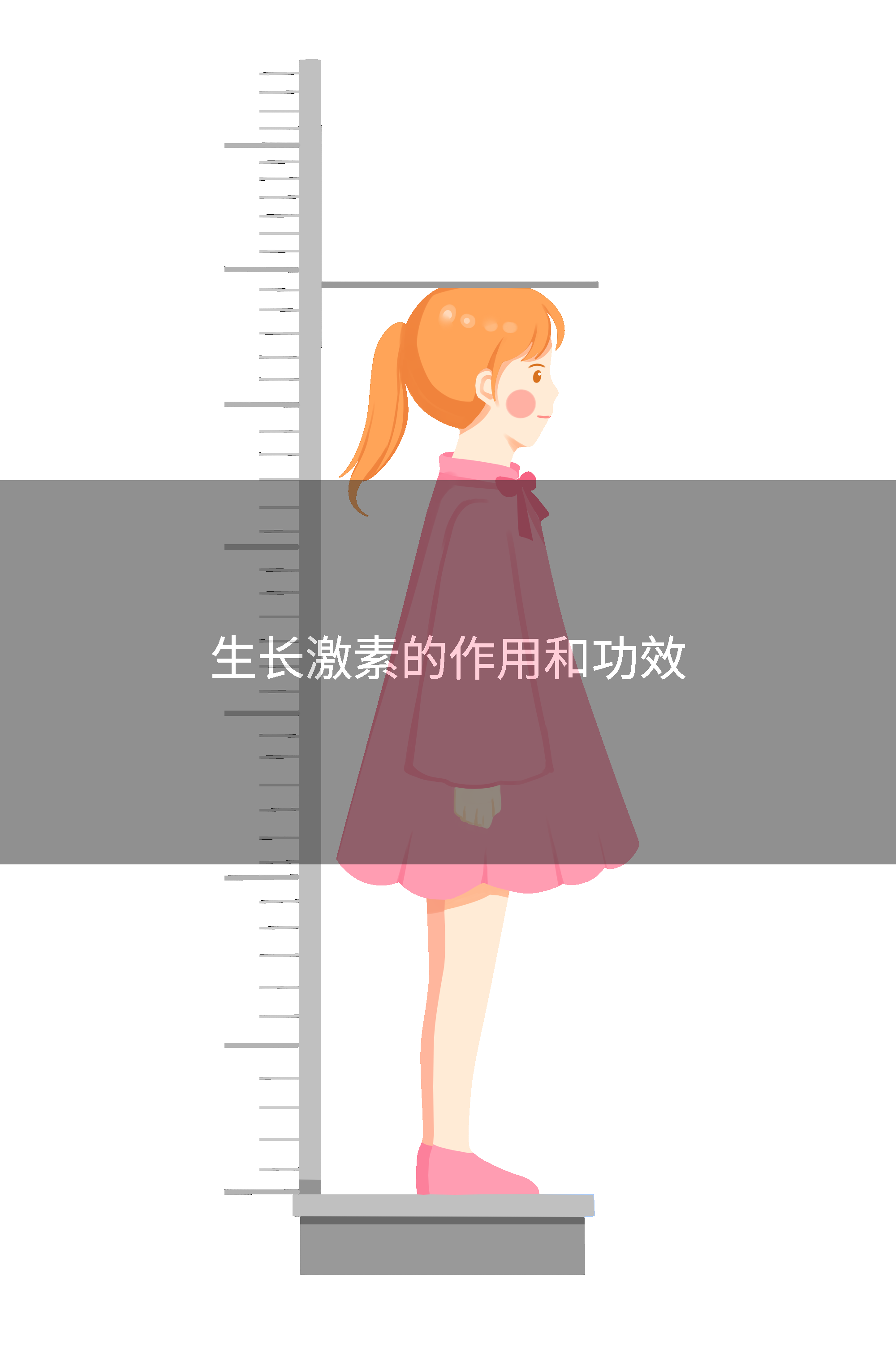 生长激素的作用和功效