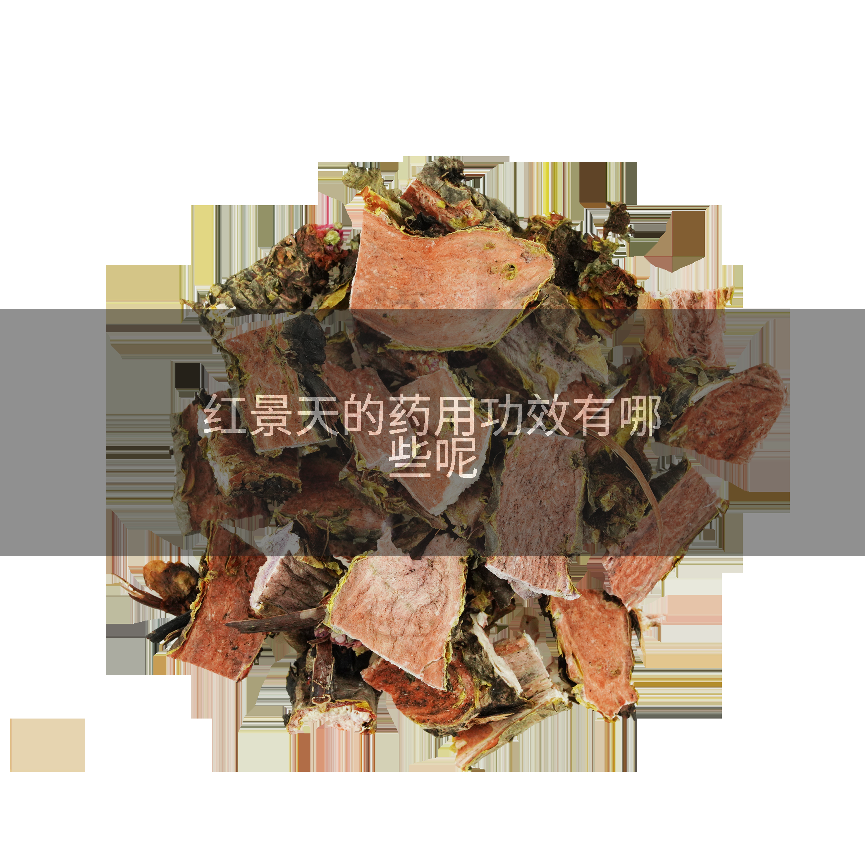 红景天的药用功效有哪些呢