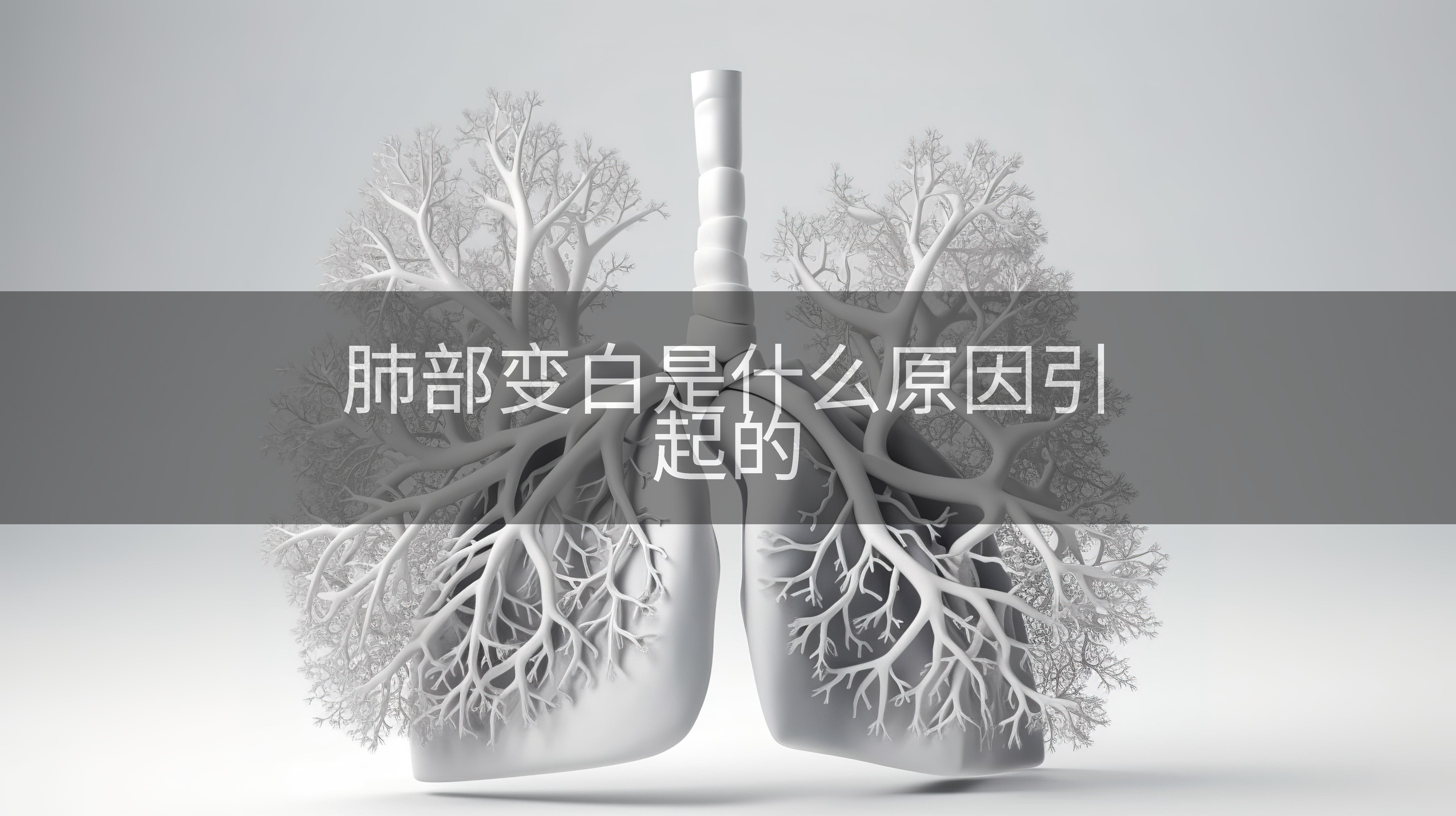 肺部变白是什么原因引起的