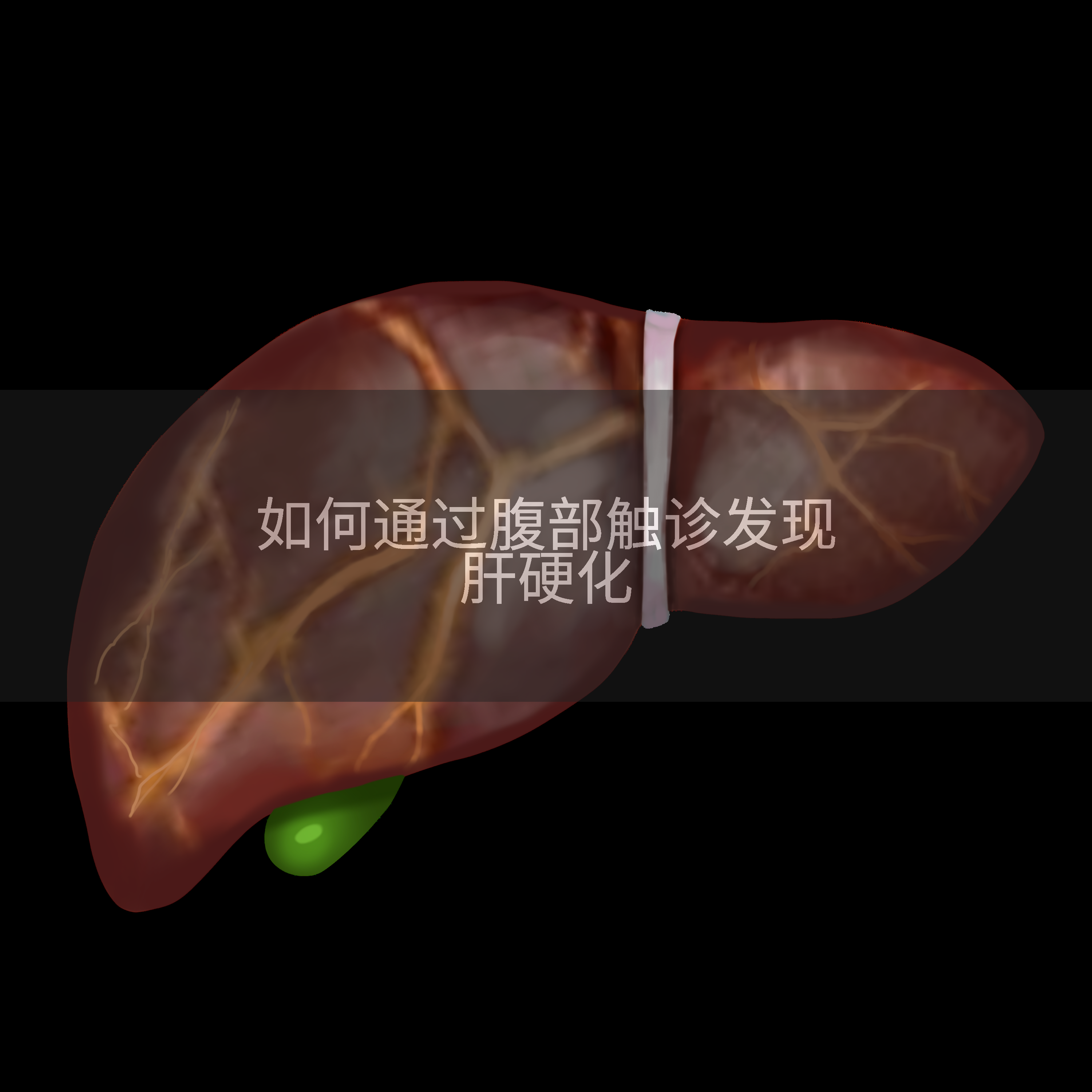 如何通过腹部触诊发现肝硬化