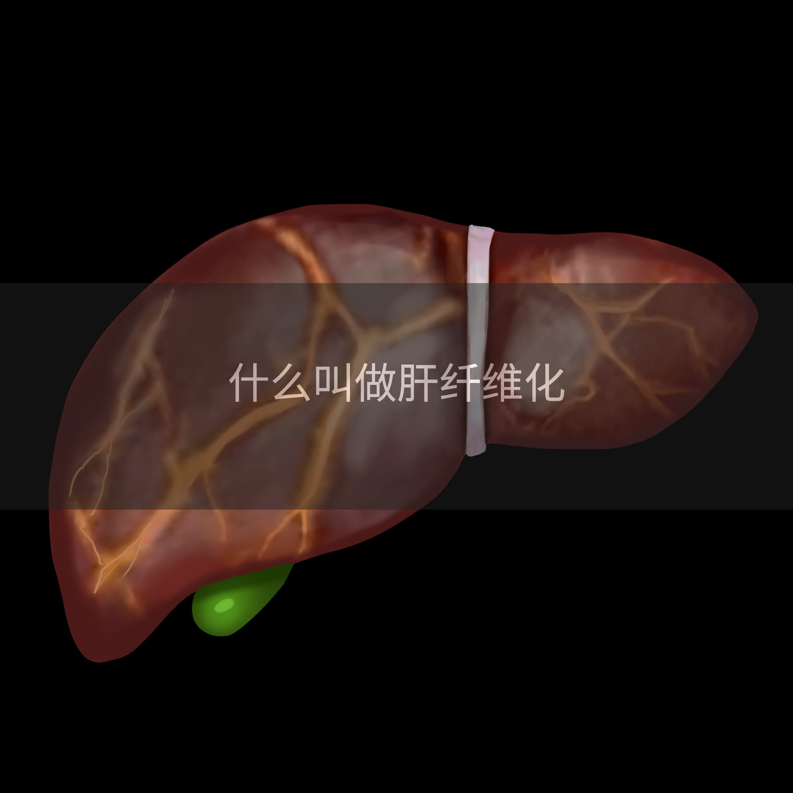 什么叫做肝纤维化