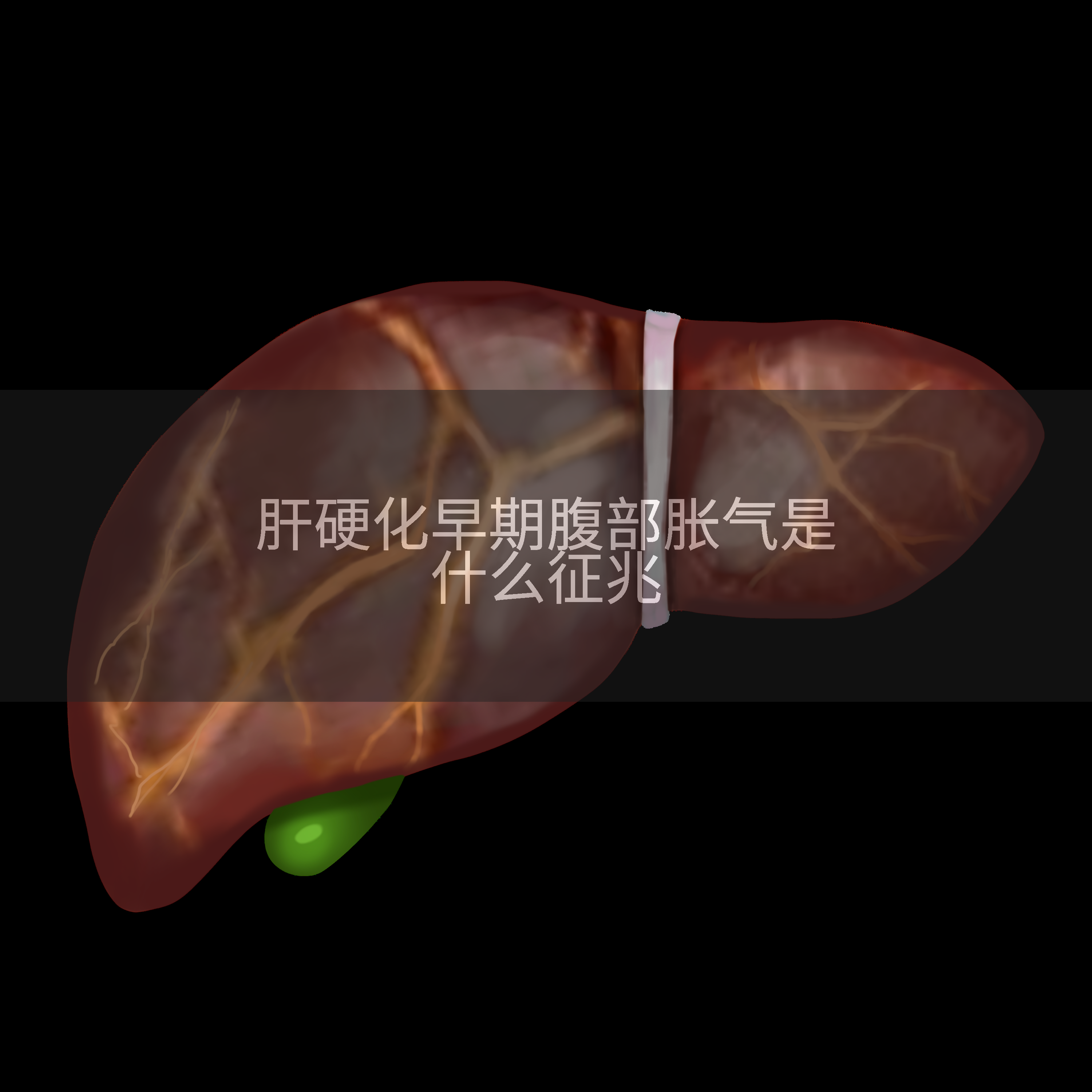 肝硬化早期腹部胀气是什么征兆