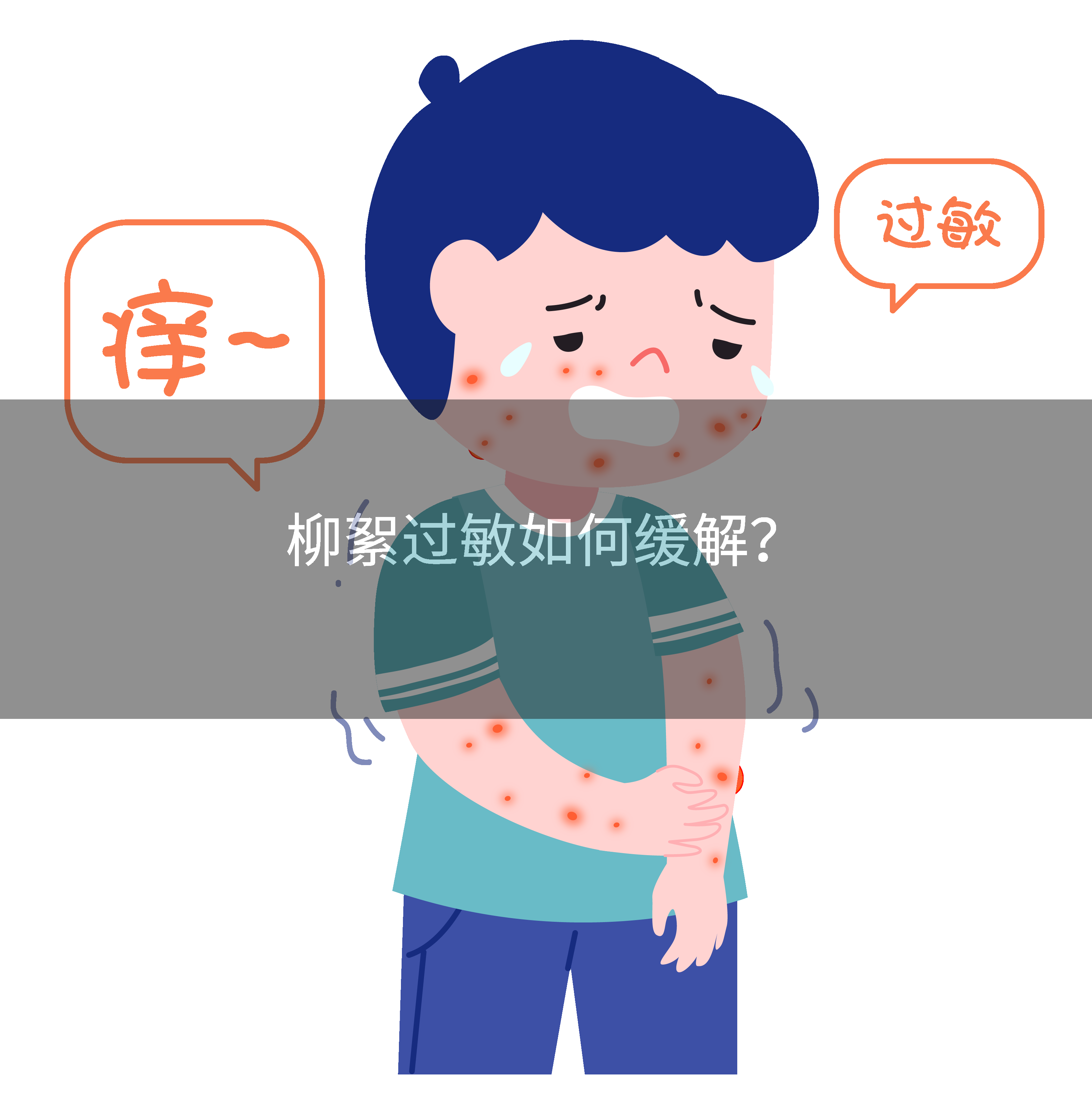 柳絮过敏如何缓解？