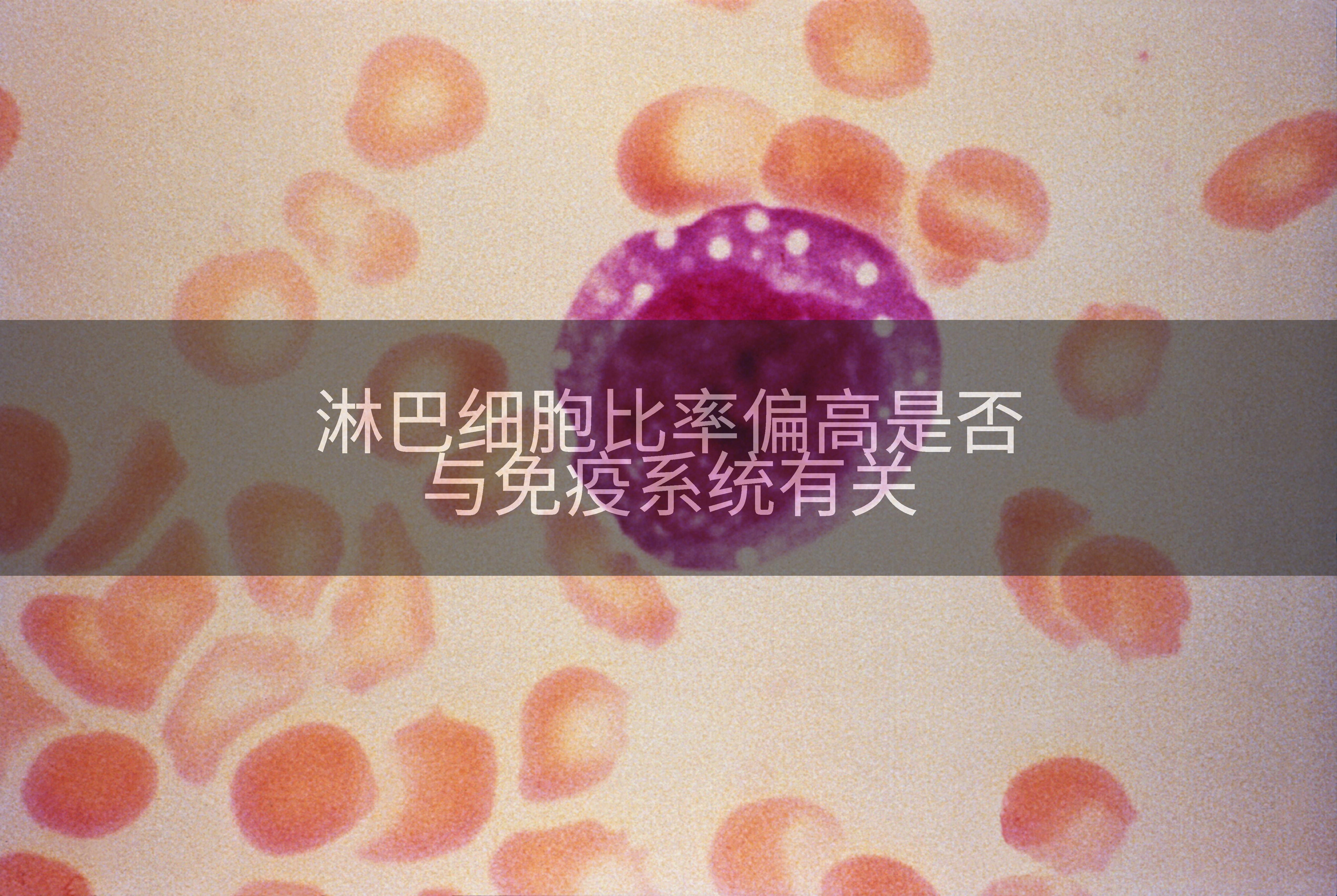淋巴细胞比率偏高是否与免疫系统有关