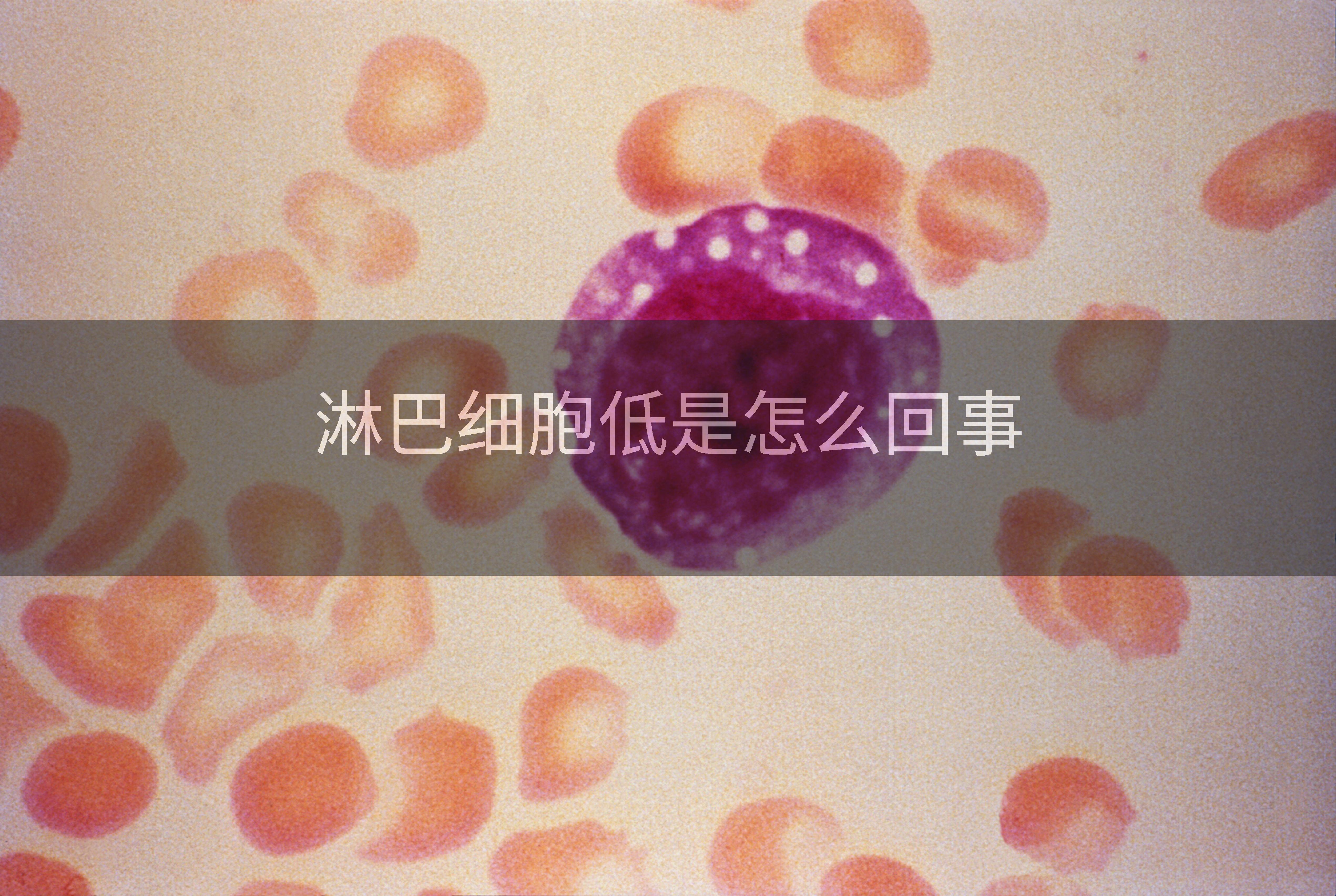 淋巴细胞低是怎么回事