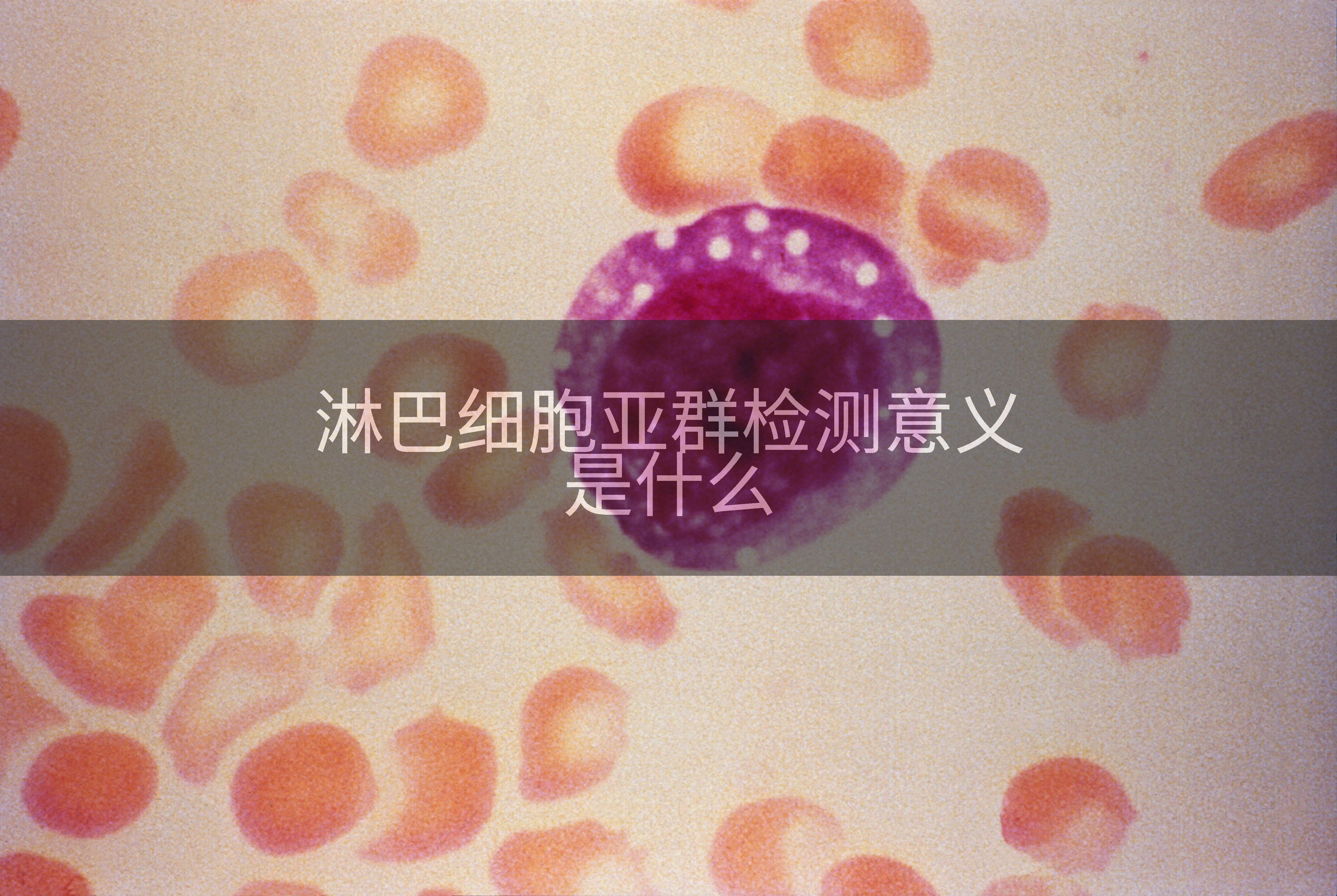 淋巴细胞亚群检测意义是什么