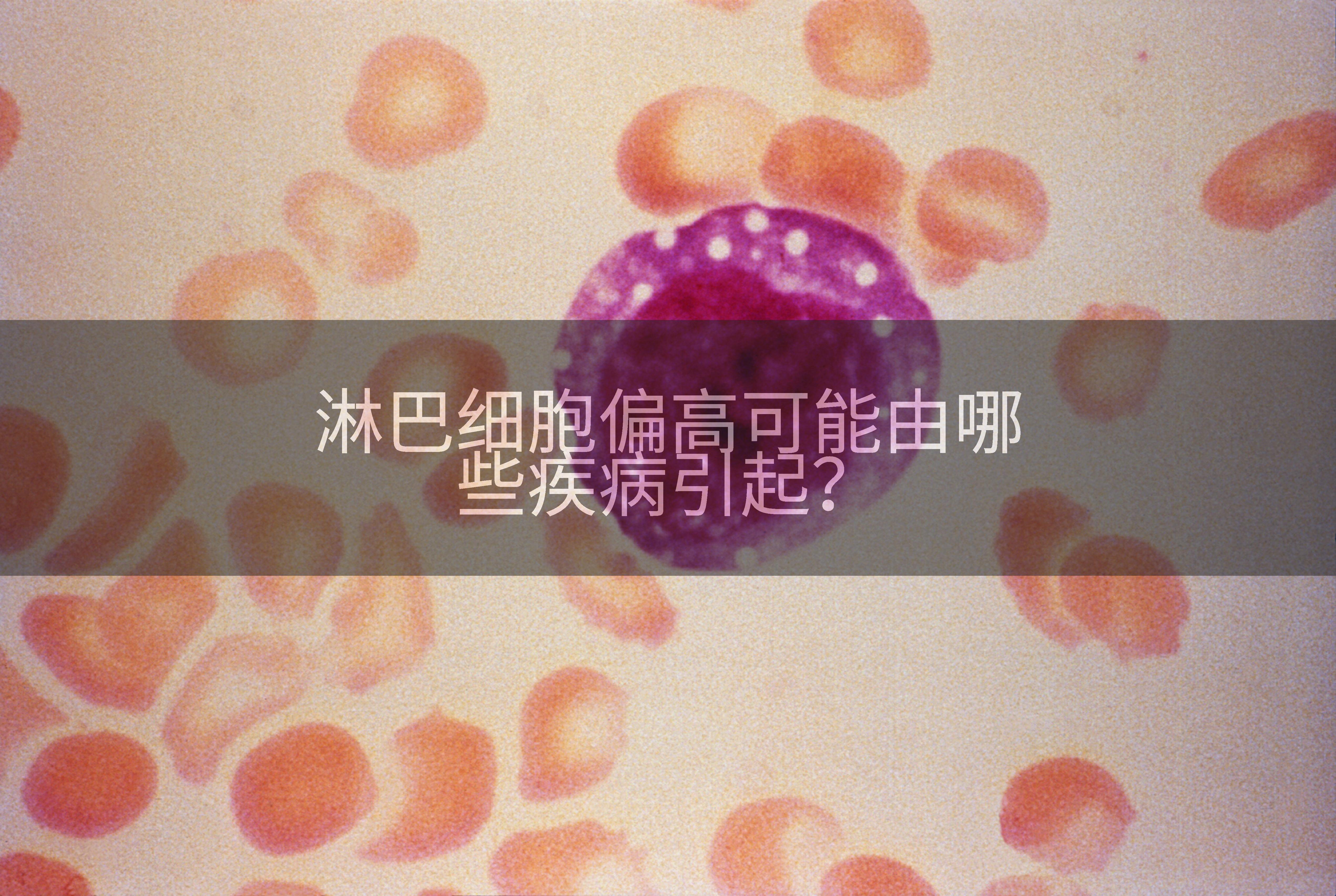淋巴细胞偏高可能由哪些疾病引起？