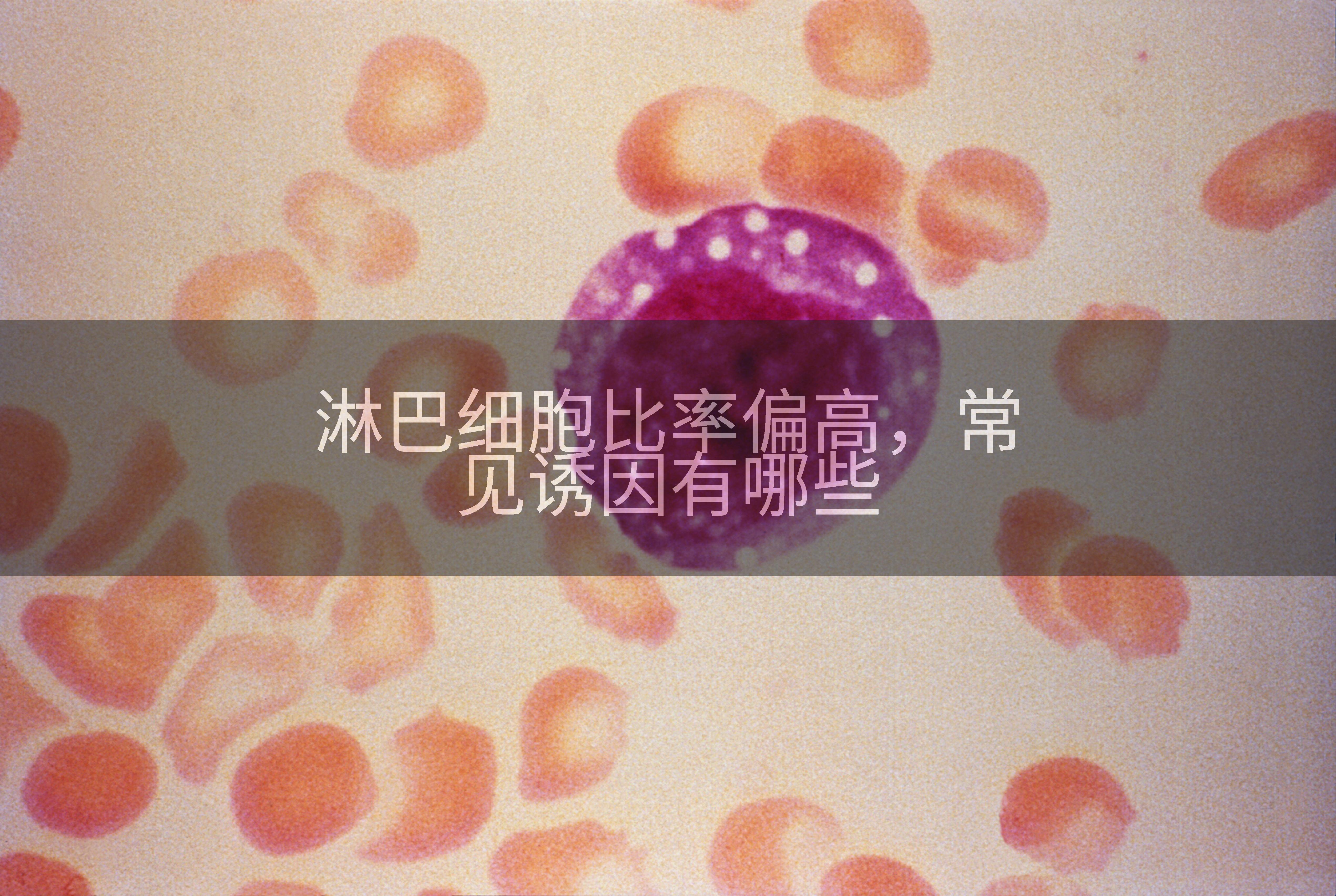淋巴细胞比率偏高，常见诱因有哪些