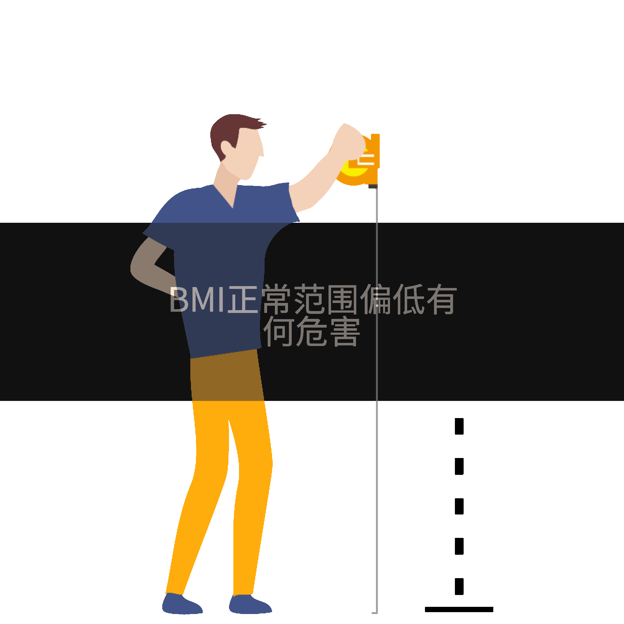 BMI正常范围偏低有何危害