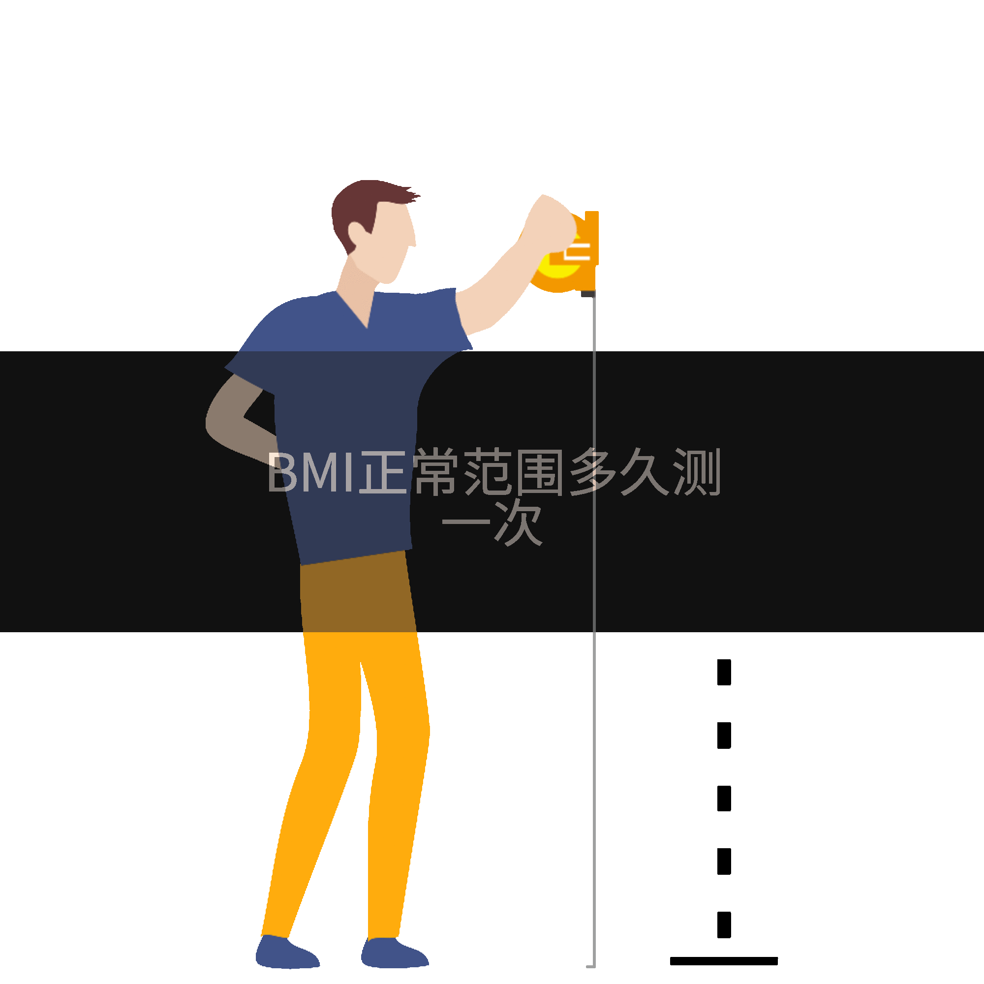 BMI正常范围多久测一次