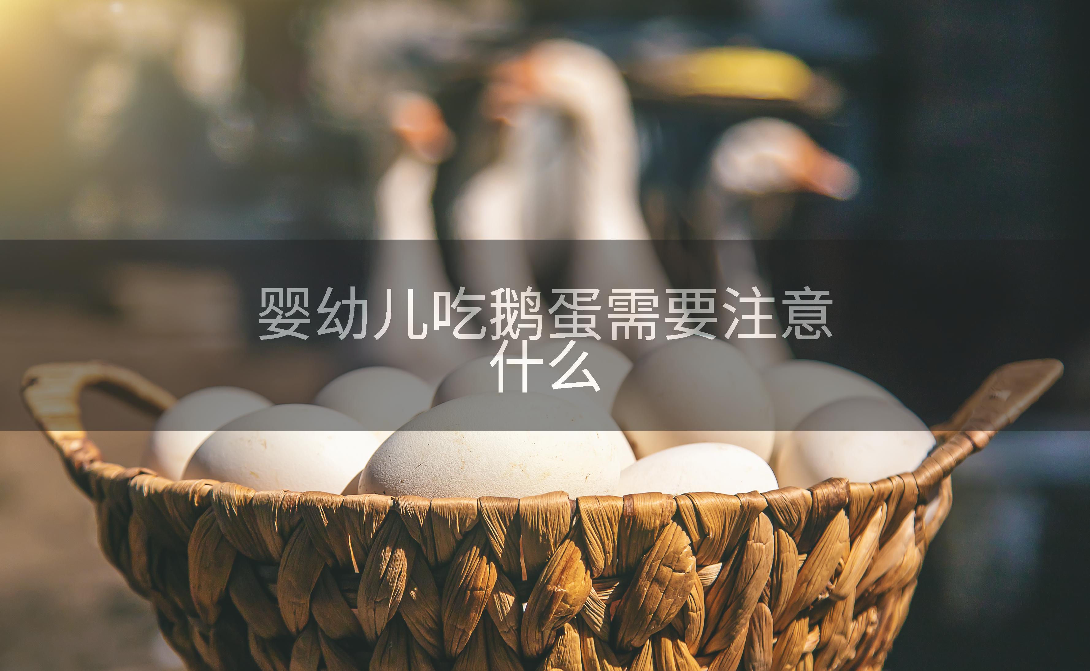 婴幼儿吃鹅蛋需要注意什么