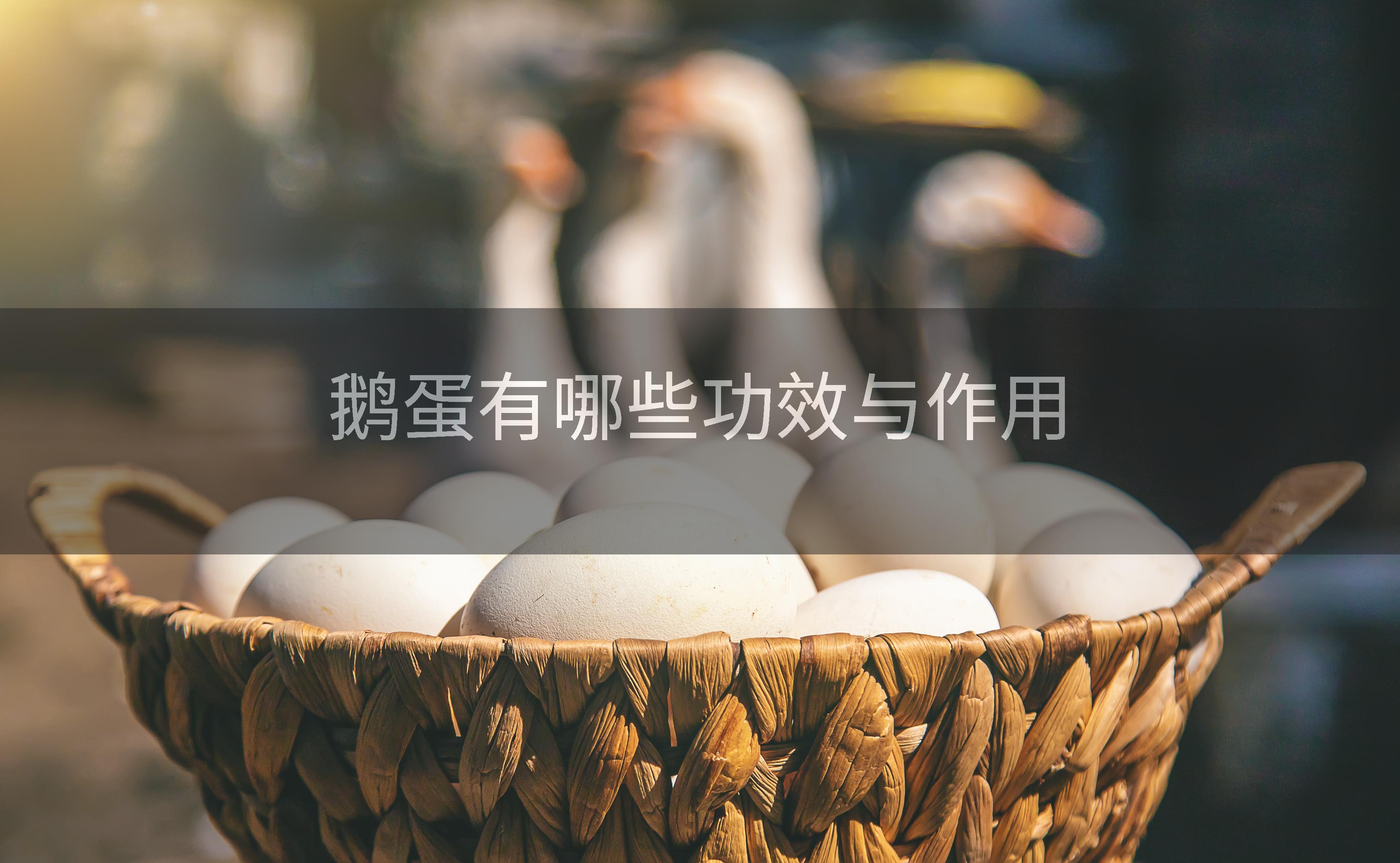 鹅蛋有哪些功效与作用