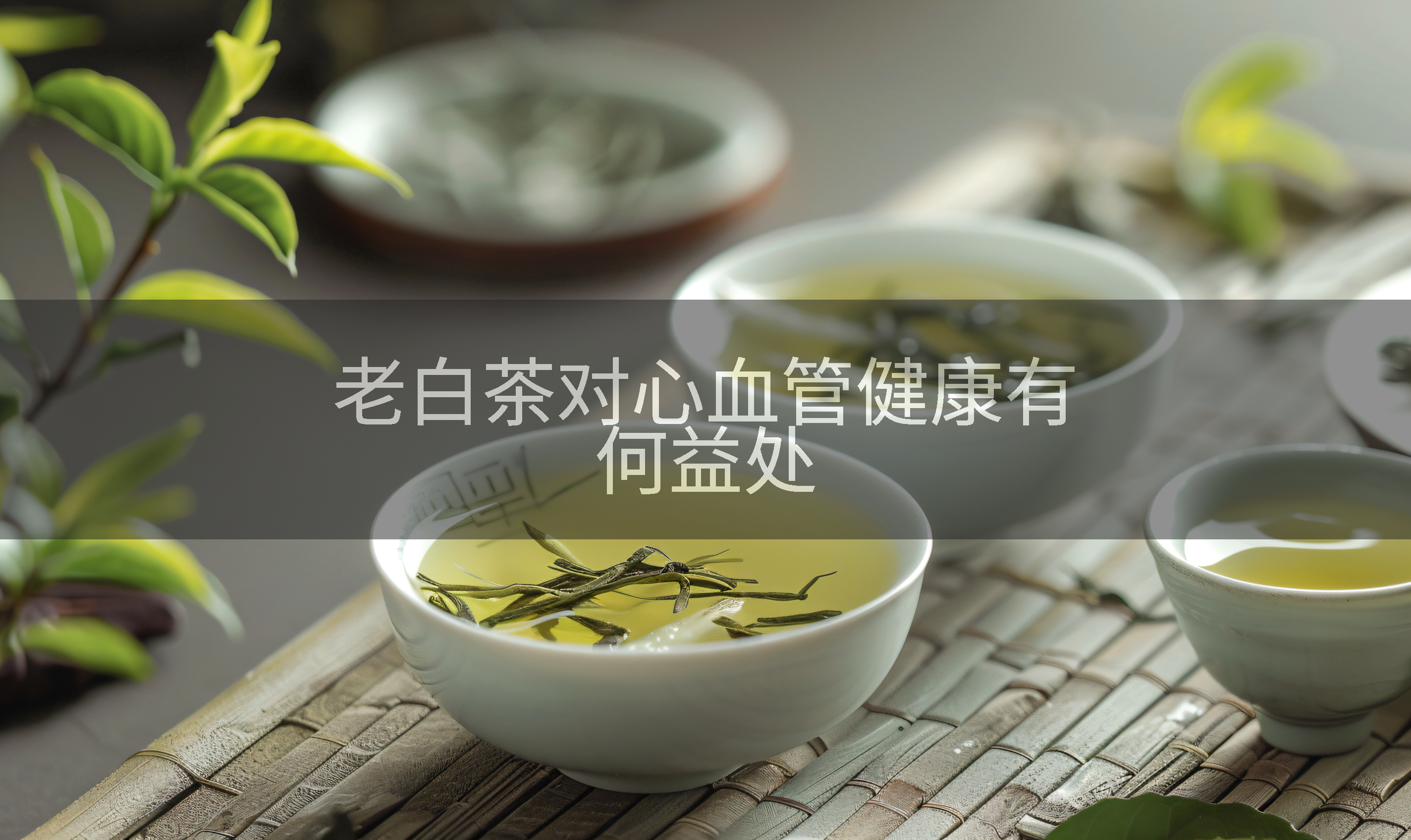 老白茶对心血管健康有何益处